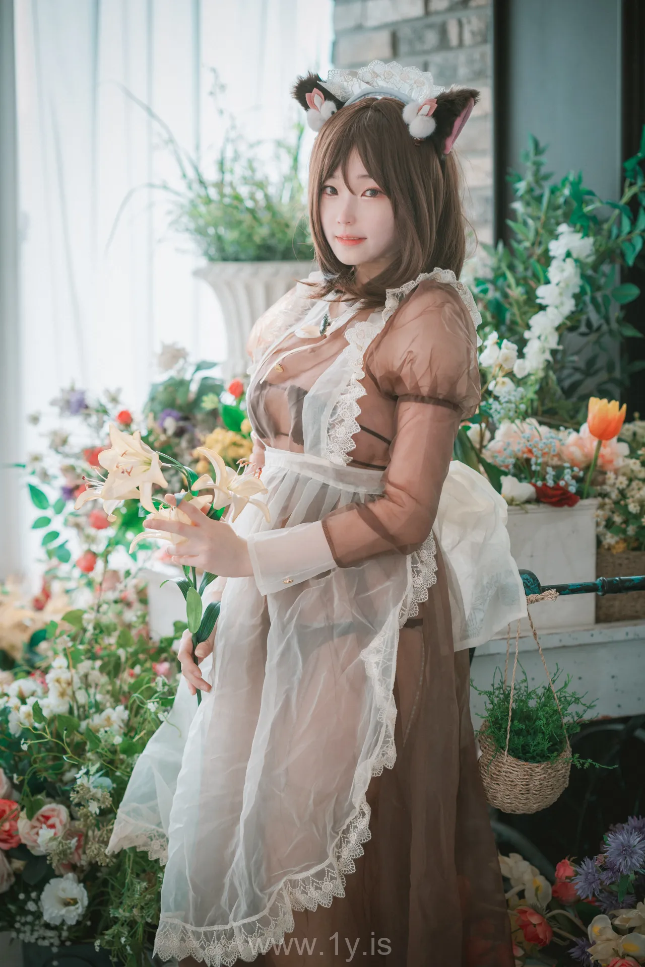 BamBi(밤비) NO.44 [DJAWA] Pure Marron