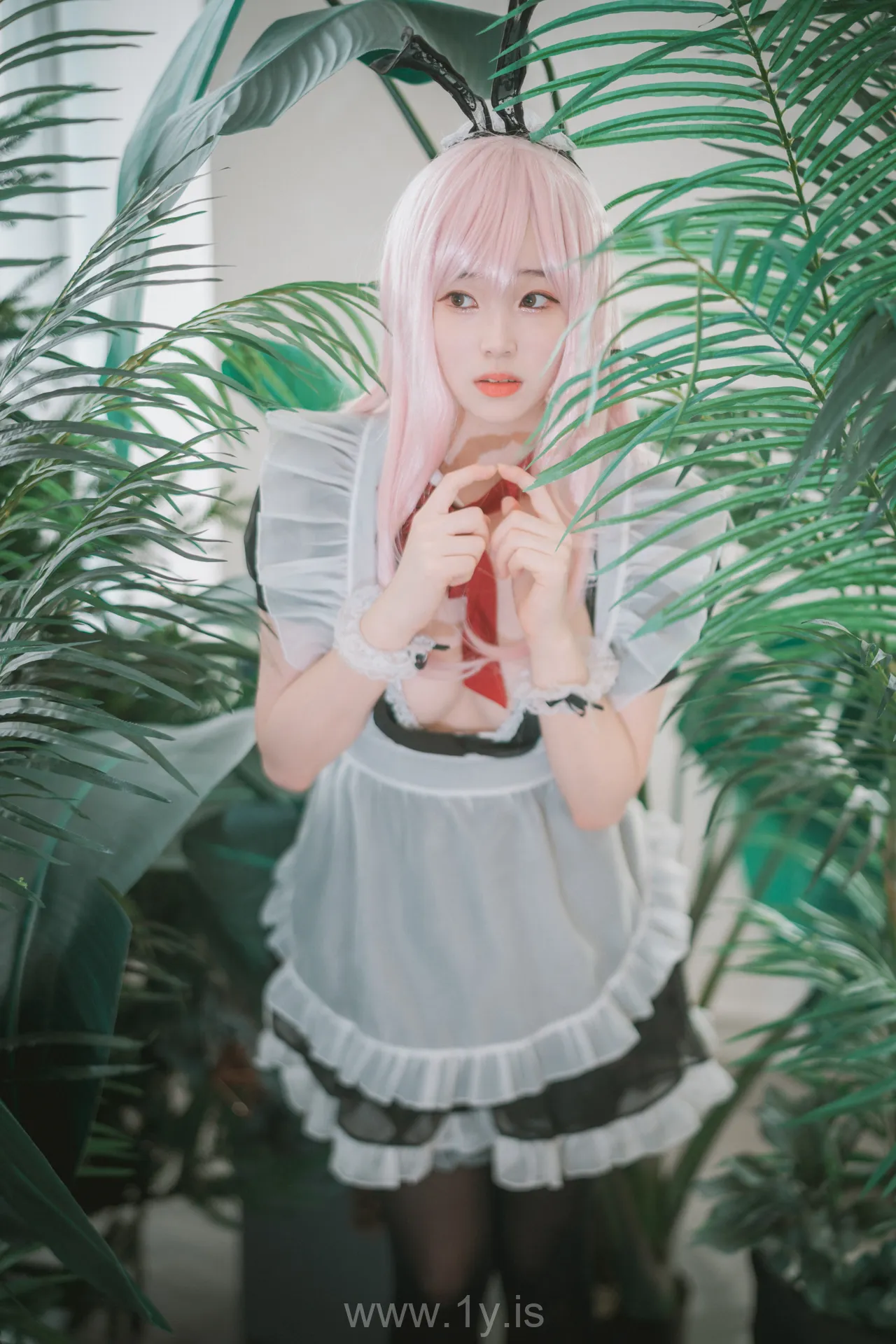 BamBi(밤비) NO.65 [DJAWA] Sheer Bunny Maid