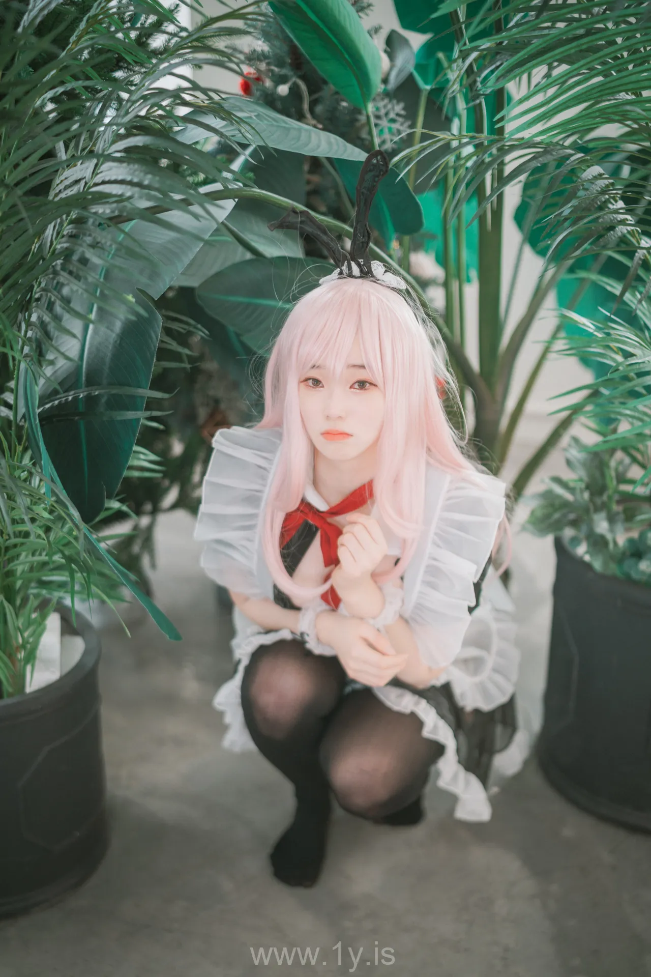 BamBi(밤비) NO.65 [DJAWA] Sheer Bunny Maid