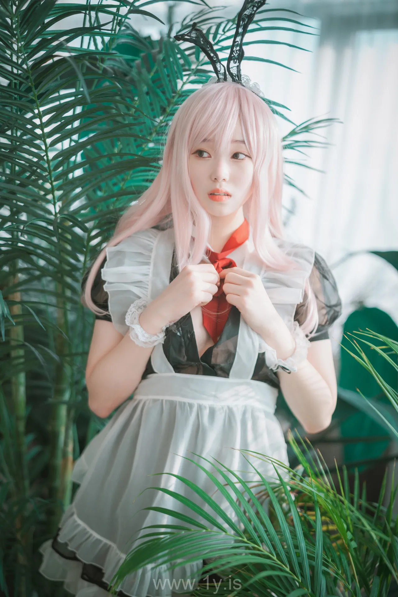 BamBi(밤비) NO.65 [DJAWA] Sheer Bunny Maid
