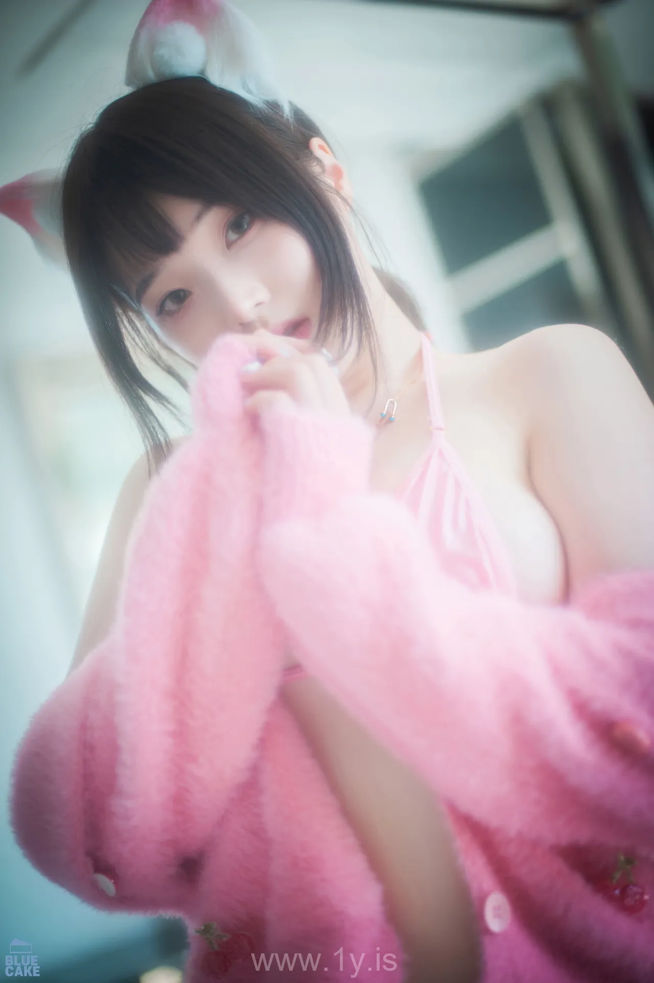 BamBi(밤비) NO.92 Naughty Cats Pink & Mint RED