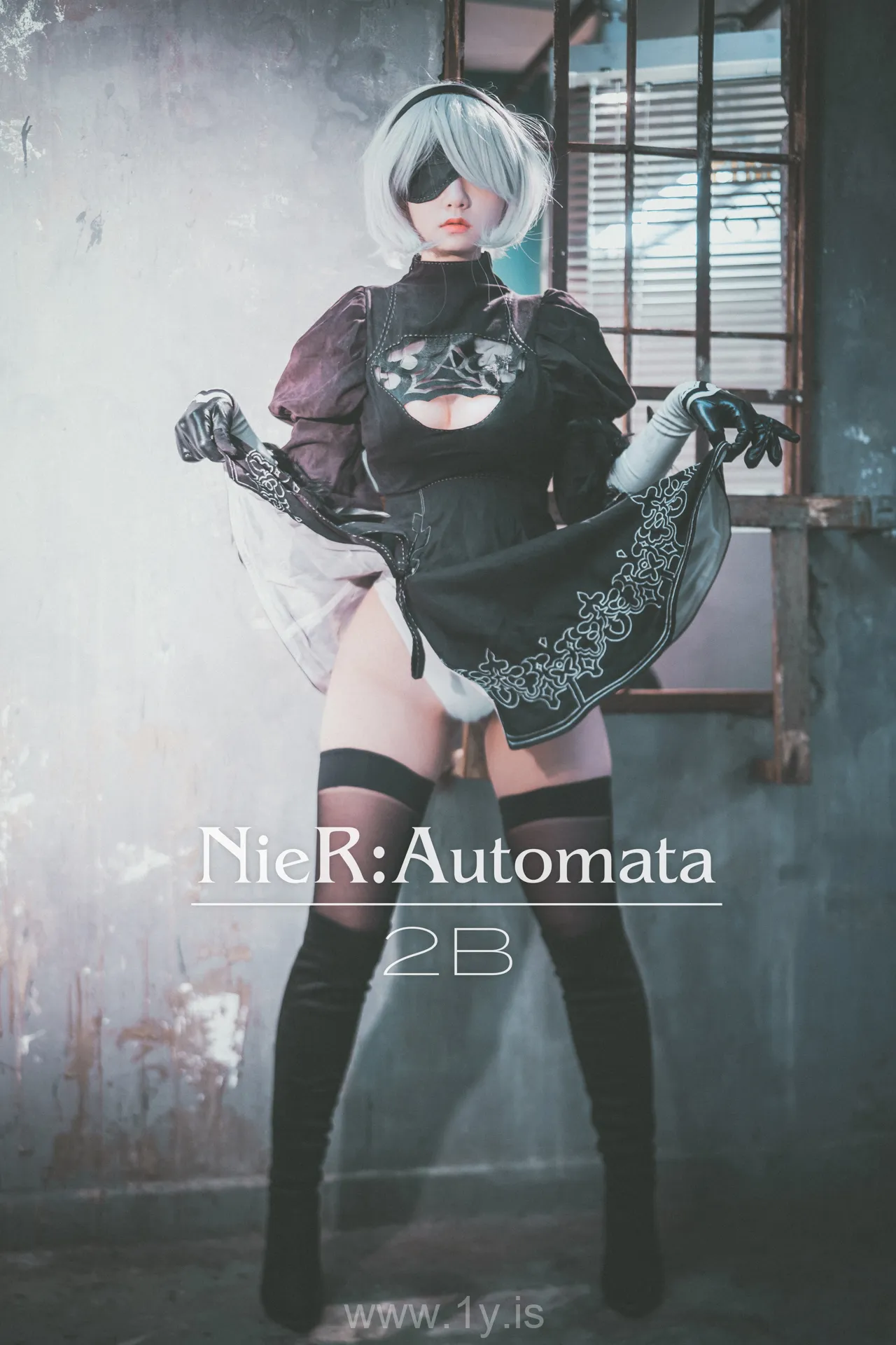 Jenny (정제니) NO.27 DJAWA_NieR_Automata_2B