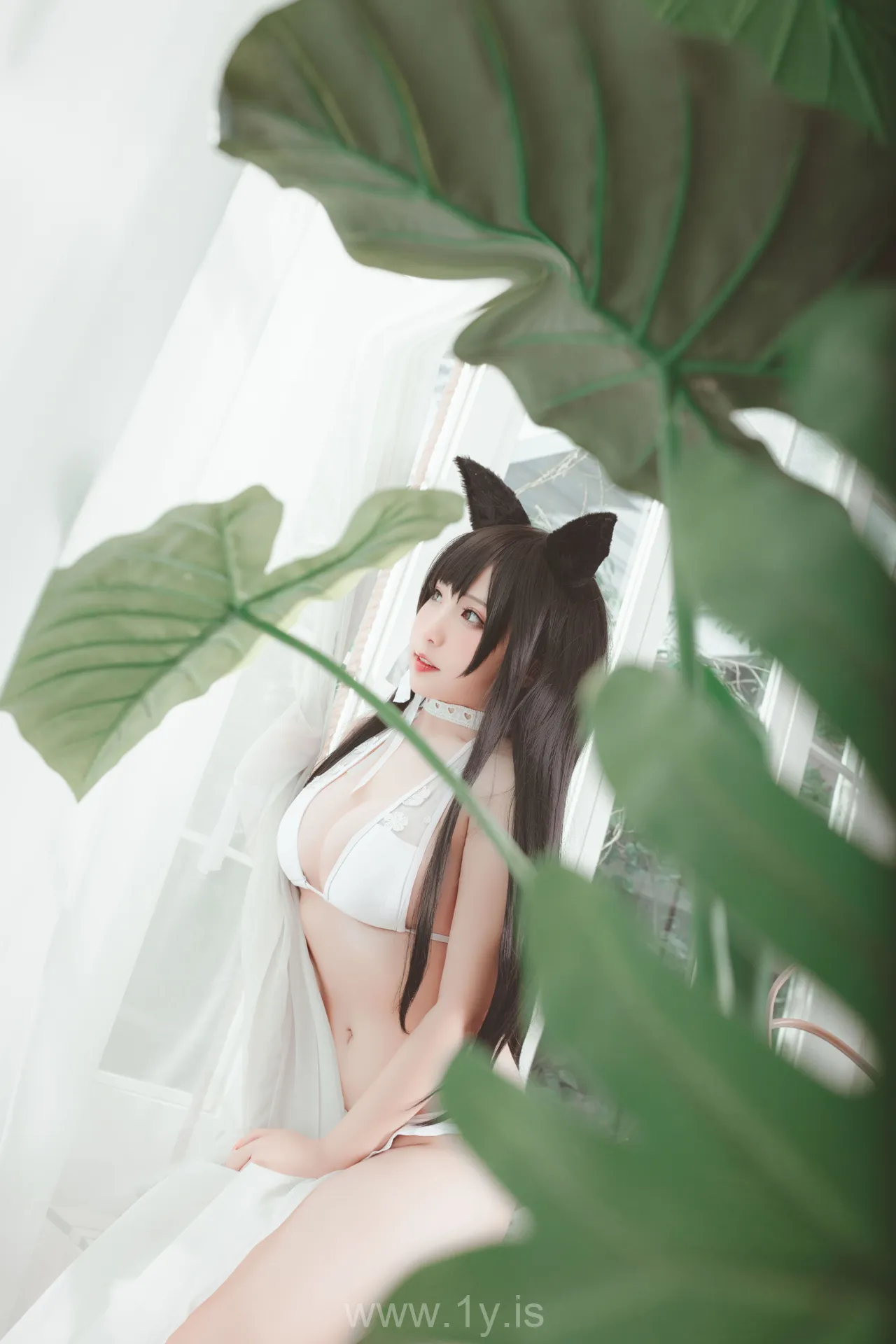 猫田圣奈奈 VOL.004 爱宕泳装 盛夏进行曲