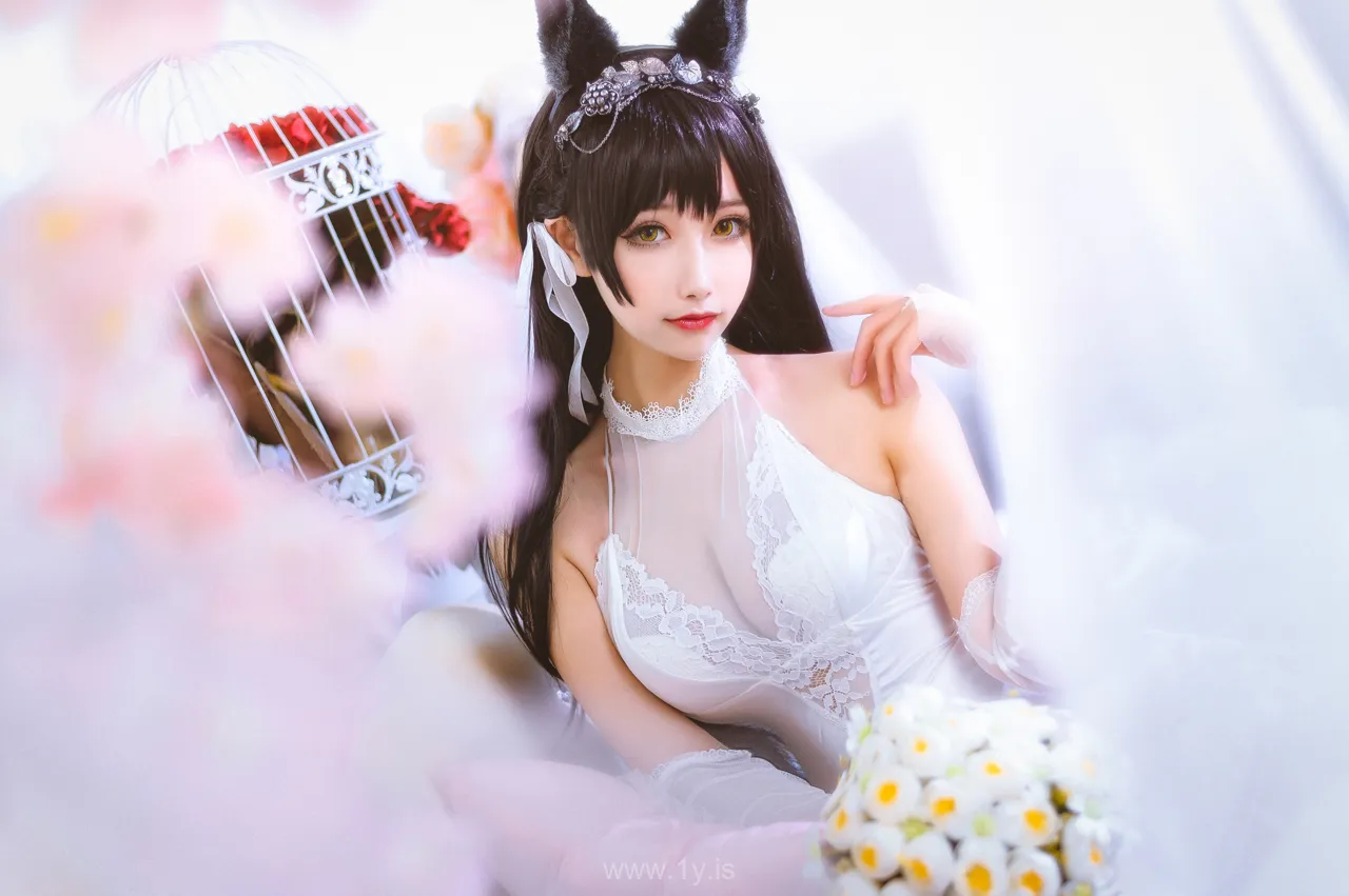 Momoko葵KUI NO.004 爱宕