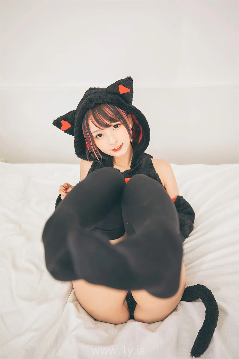 神楽坂真冬 VOL.72 神楽板真冬《白黒の猫》(絶対企画)