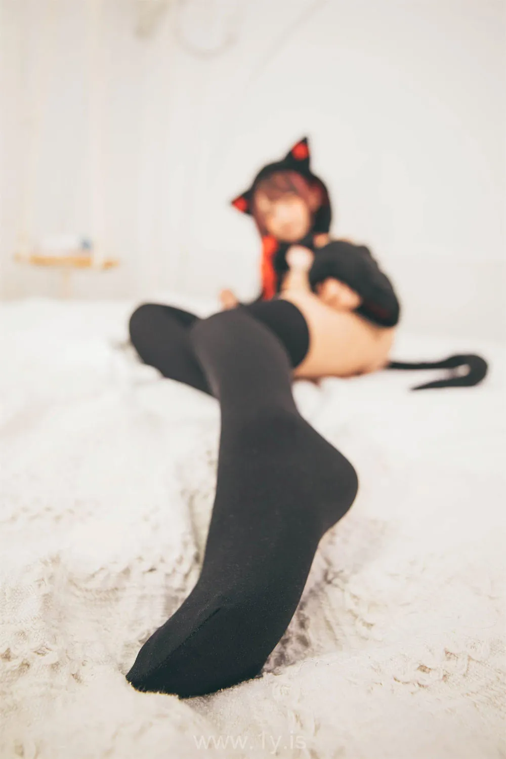 神楽坂真冬 VOL.72 神楽板真冬《白黒の猫》(絶対企画)