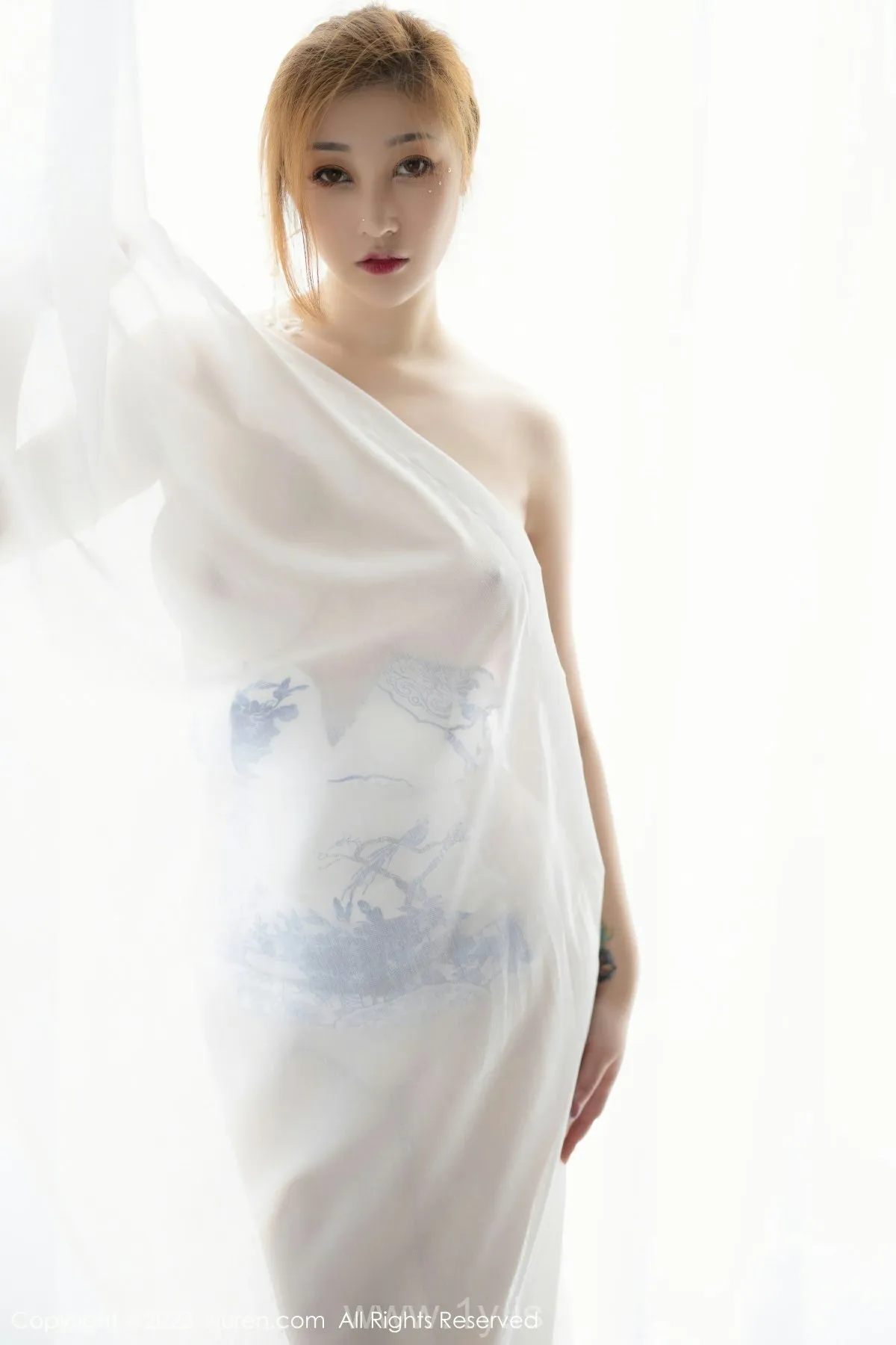 XIUREN(秀人网) NO.6199 Exquisite & Sexy Asian Cougar 妲己_Toxic