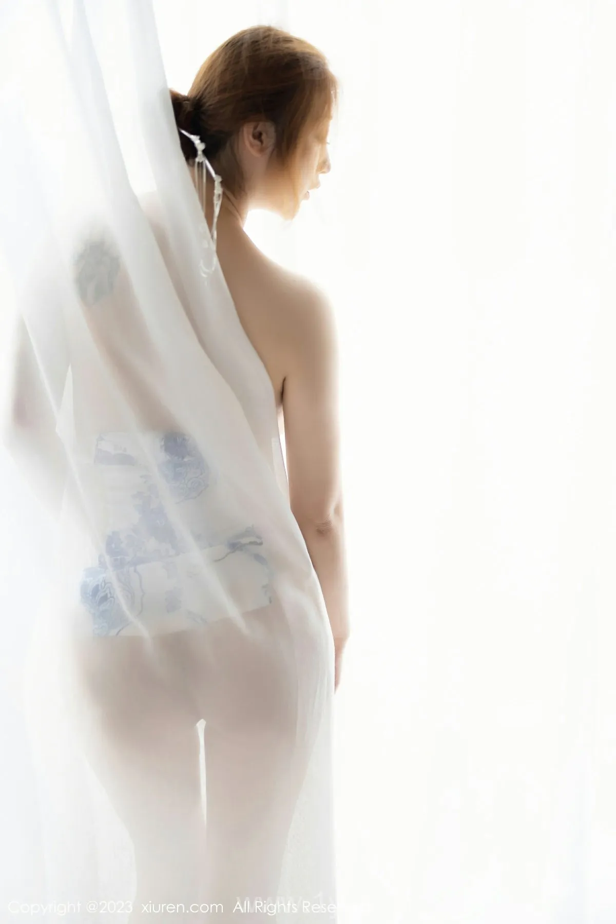 XIUREN(秀人网) NO.6199 Exquisite & Sexy Asian Cougar 妲己_Toxic