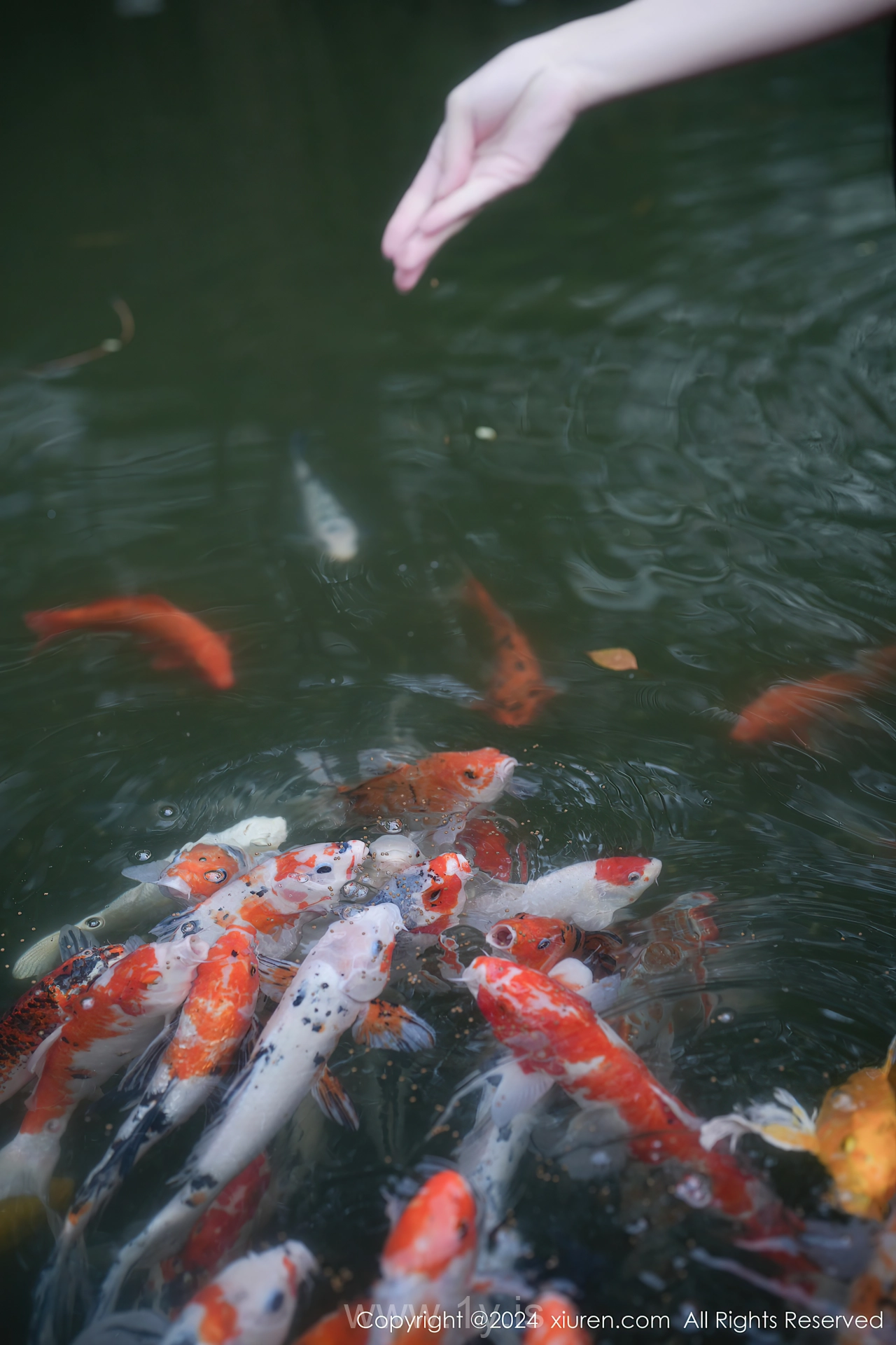 XIUREN(秀人网) No.7996 Mesmerizing Asian Muse 伊雪儿