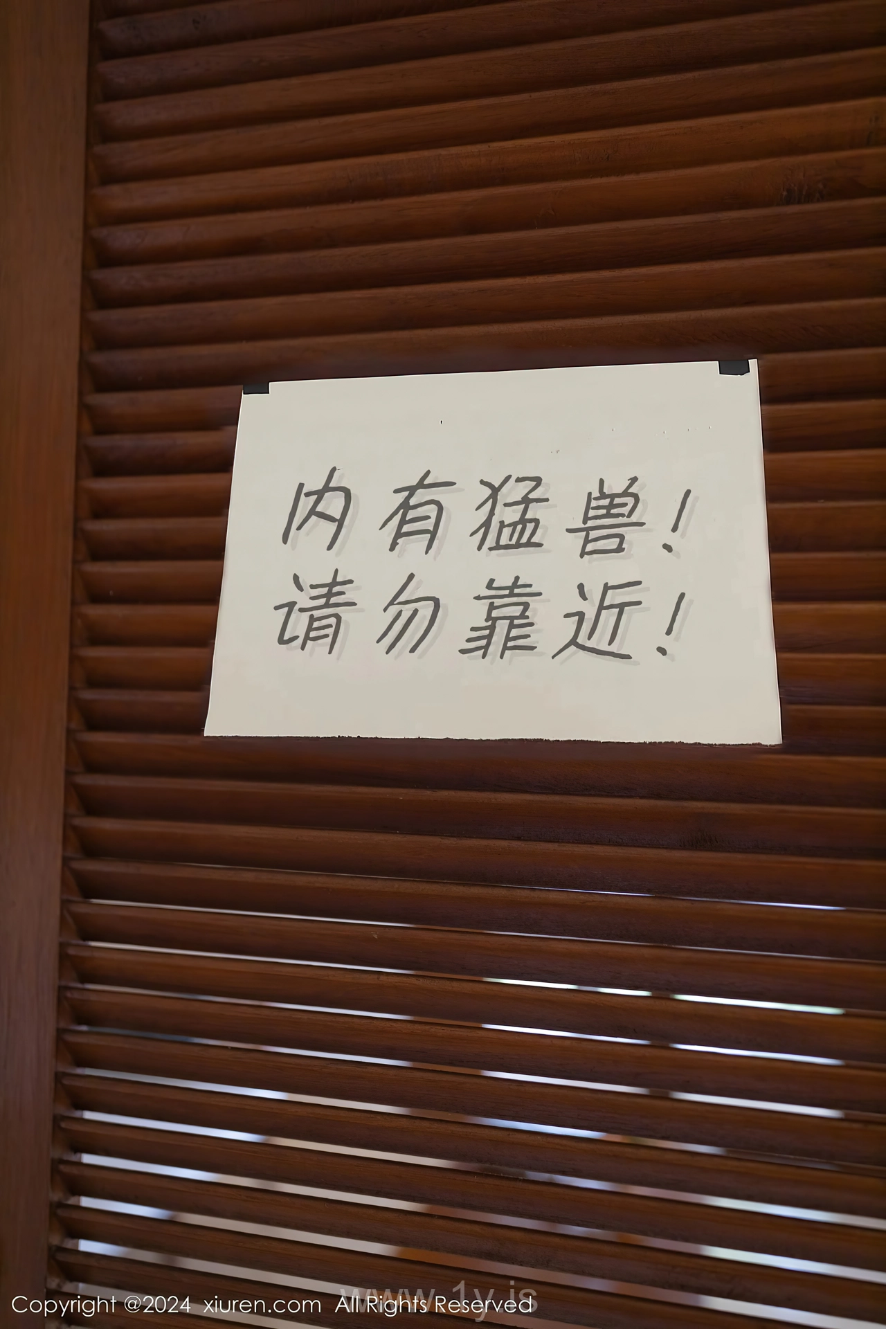 XIUREN(秀人网) No.8029 Angelic Chinese Maiden 幼幼