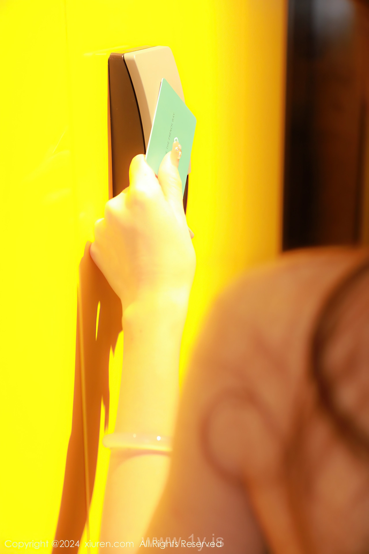 XIUREN(秀人网) No.8140 Gorgeous & Enchanting Asian Girl 林幼一