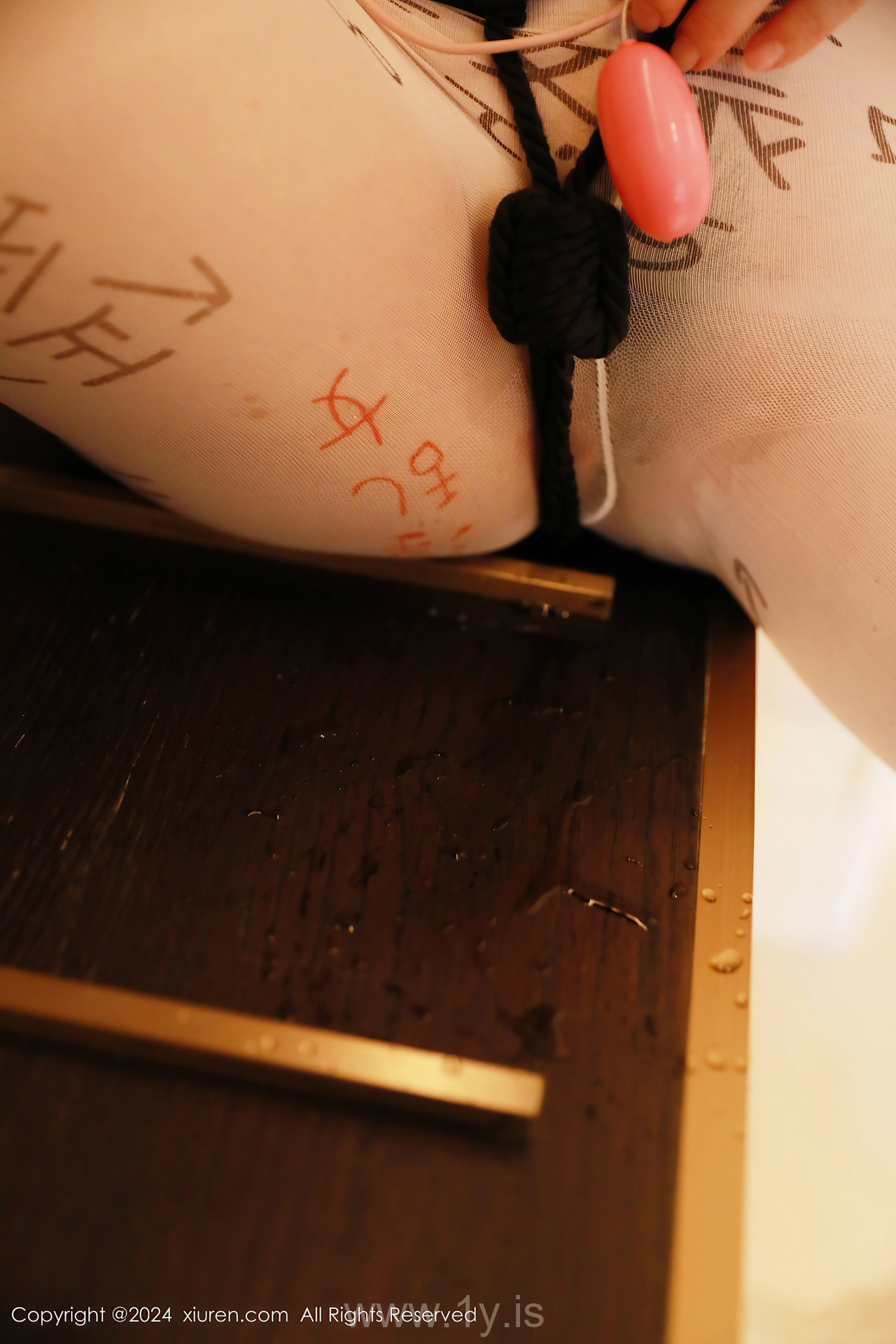 XIUREN(秀人网) No.8258 Charming & Enigmatic Asian Homebody Girl 小薯条nienie