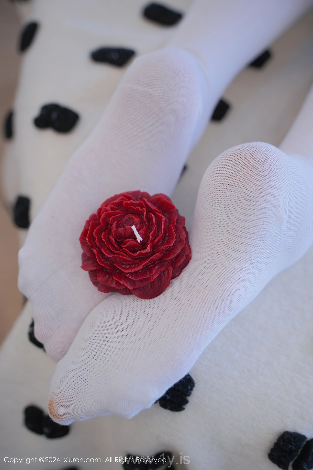 XIUREN(秀人网) No.8268 Elegant & Refined Asian Seductress 晚苏susu