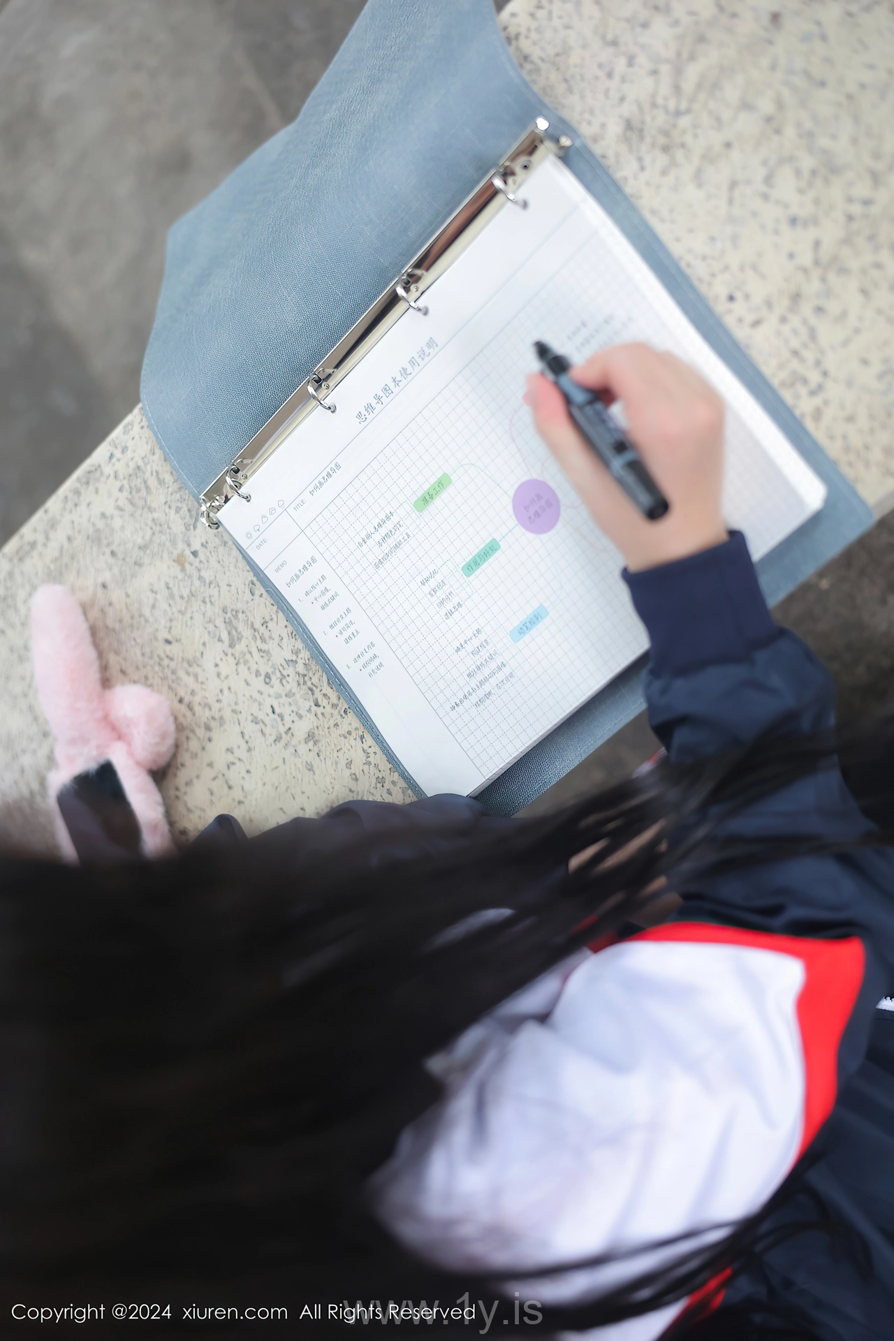 XIUREN(秀人网) No.8335 Appealing & Delicate Chinese Women 小薯条nienie