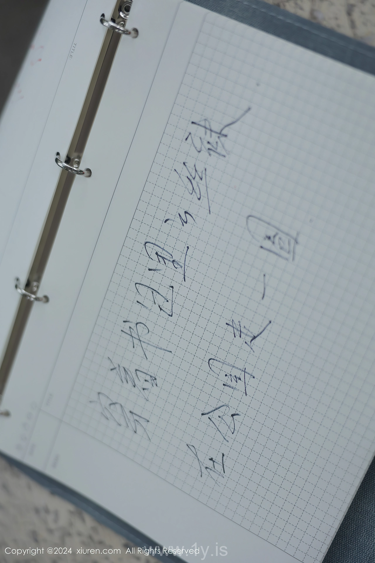 XIUREN(秀人网) No.8335 Appealing & Delicate Chinese Women 小薯条nienie