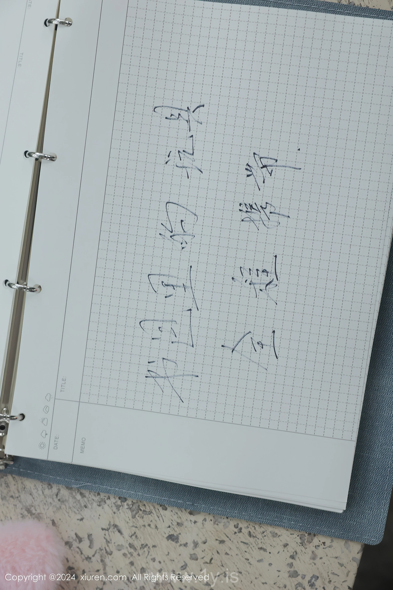 XIUREN(秀人网) No.8335 Appealing & Delicate Chinese Women 小薯条nienie