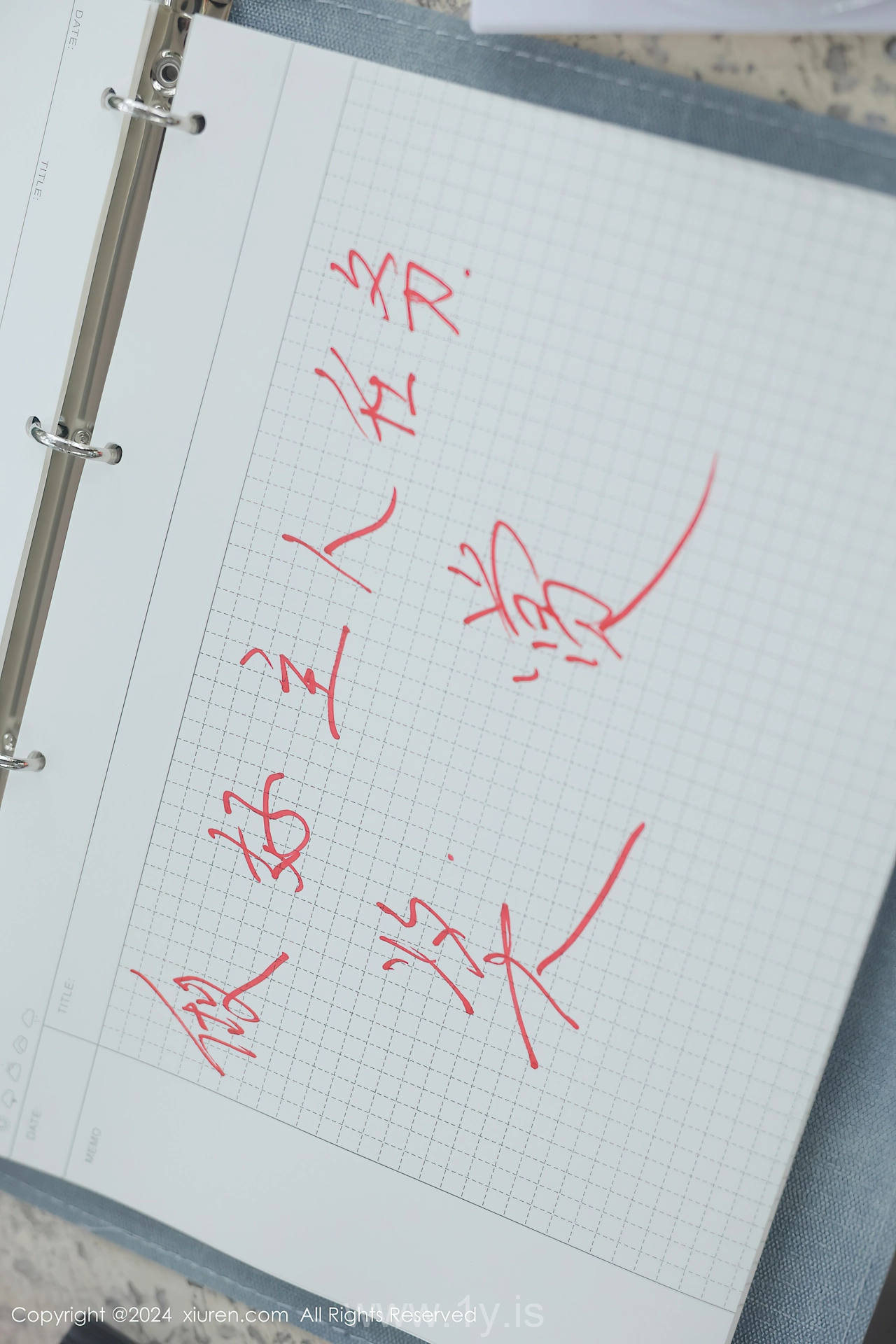 XIUREN(秀人网) No.8335 Appealing & Delicate Chinese Women 小薯条nienie