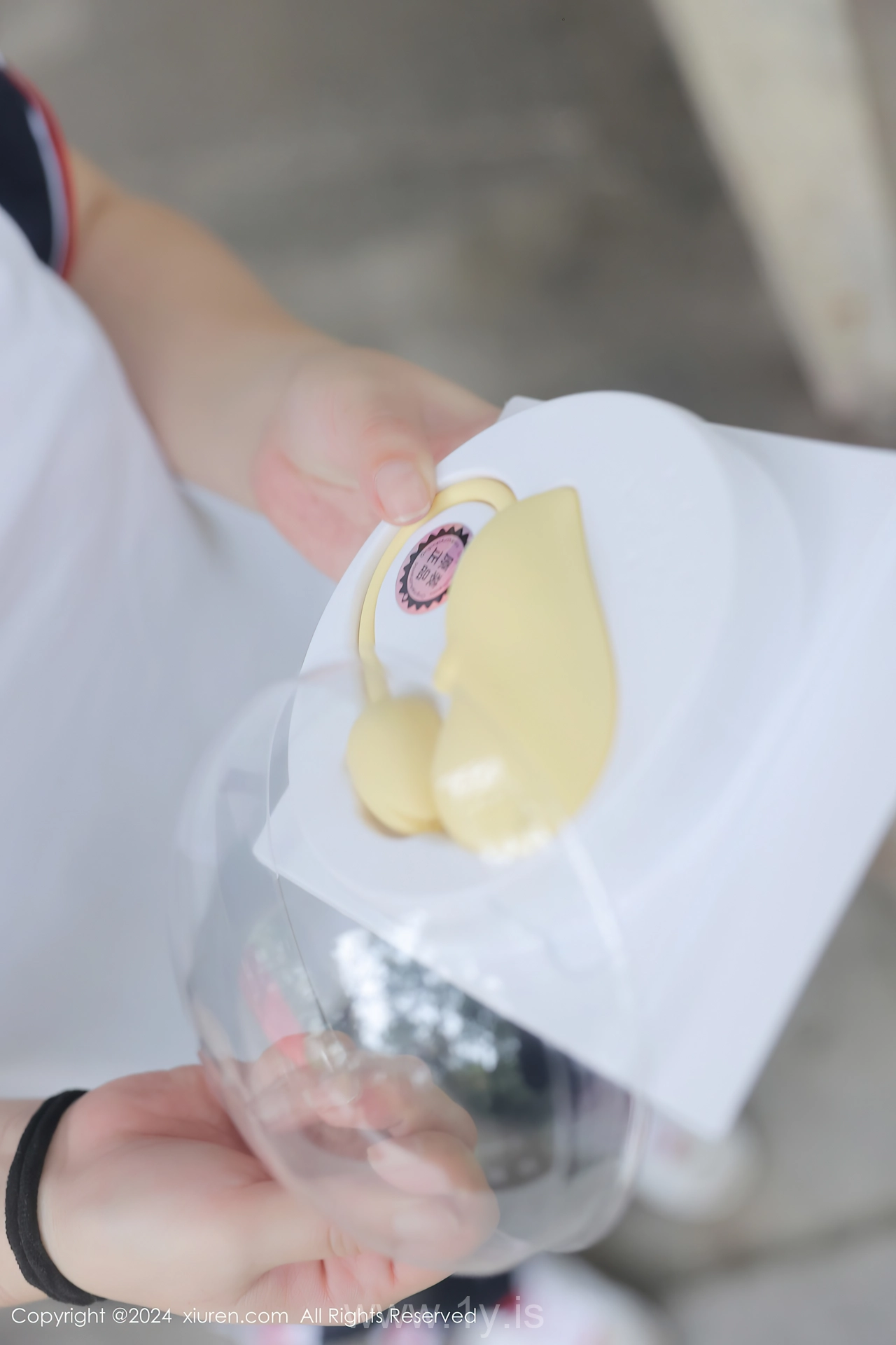 XIUREN(秀人网) No.8335 Appealing & Delicate Chinese Women 小薯条nienie