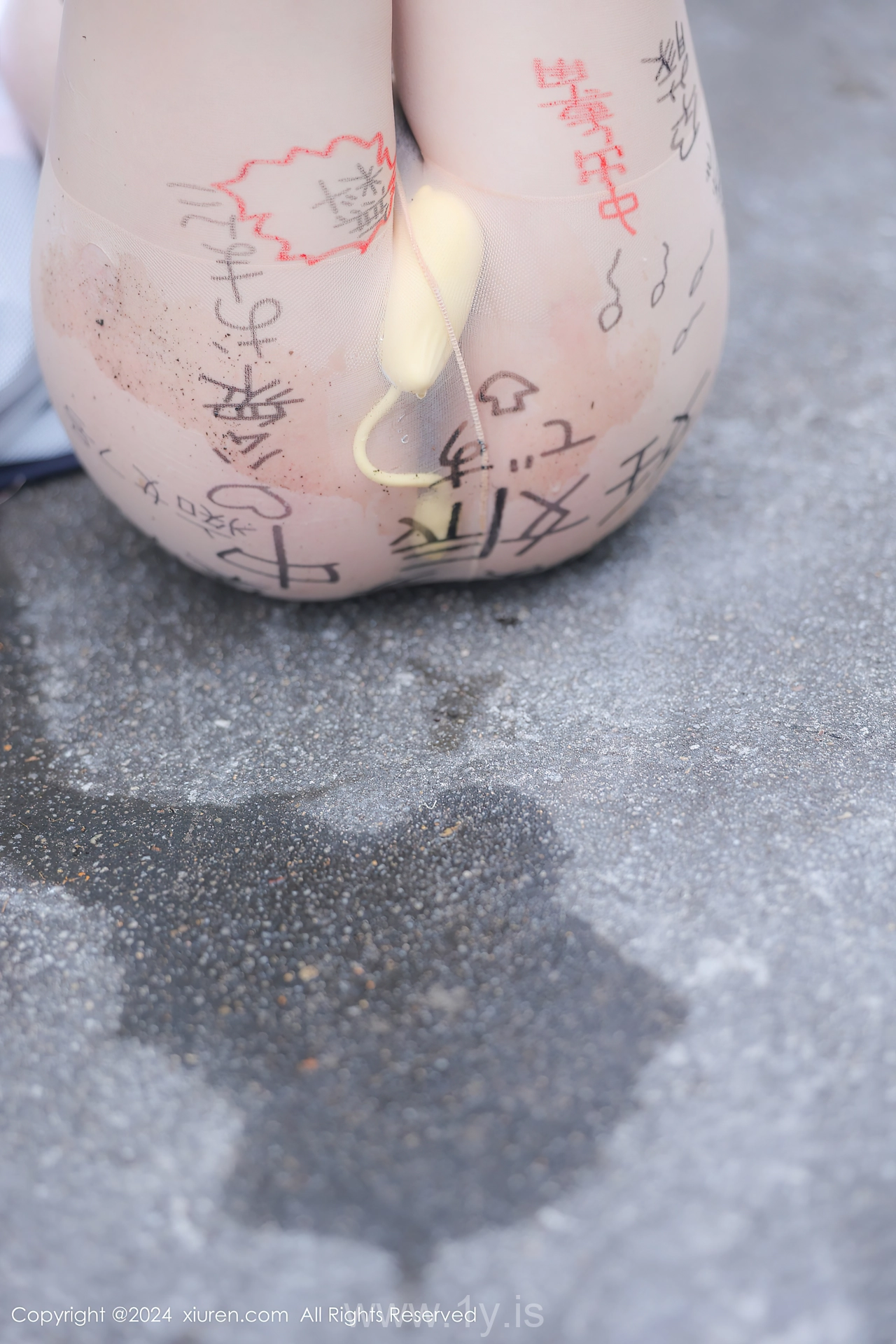 XIUREN(秀人网) No.8335 Appealing & Delicate Chinese Women 小薯条nienie