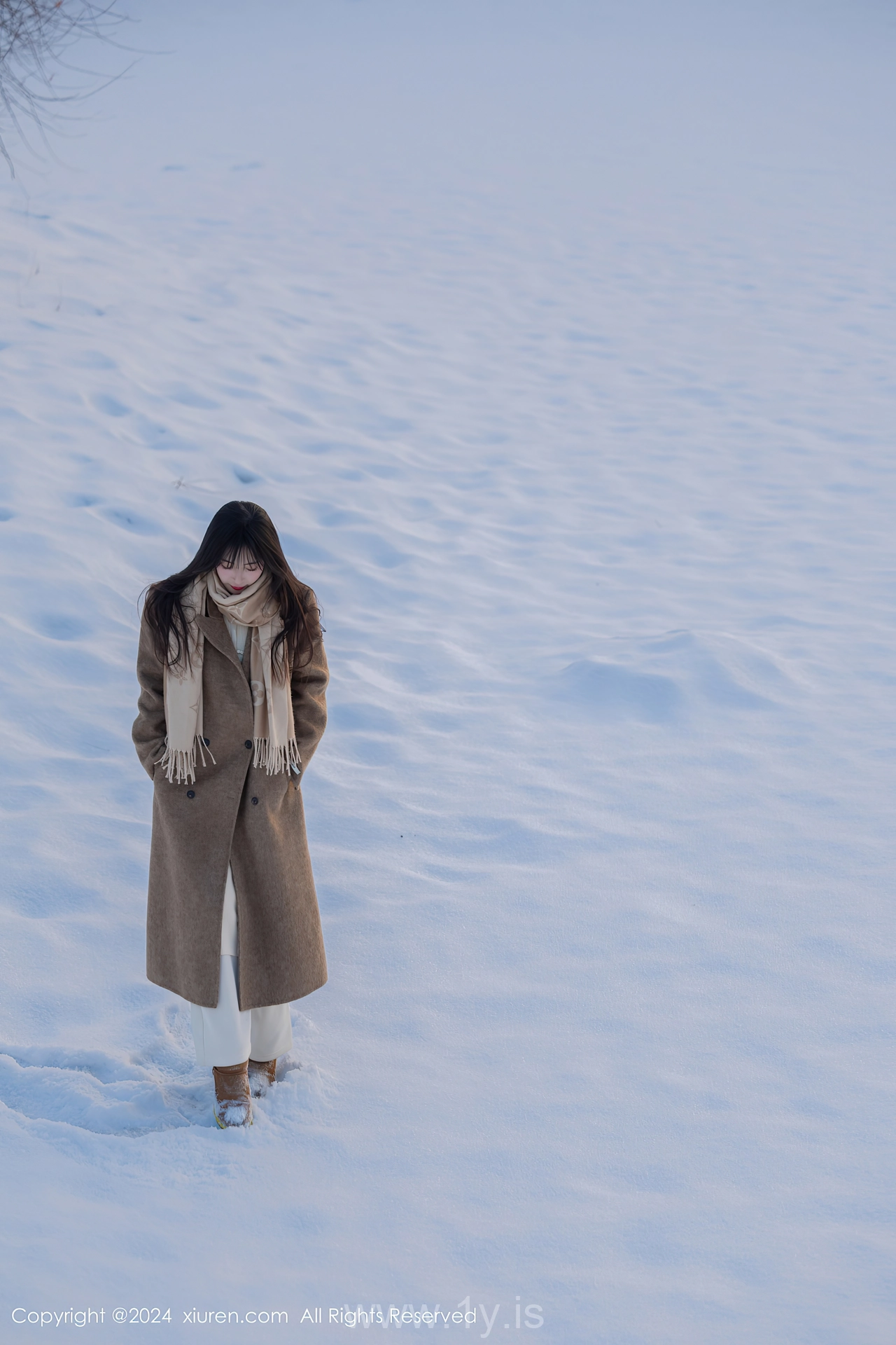 XIUREN(秀人网) No.8409 Tempting Chinese Rose 林星阑