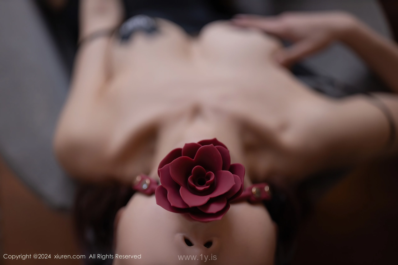 XIUREN(秀人网) No.8452 Trendy & Decent Chinese Babe 陆萱萱