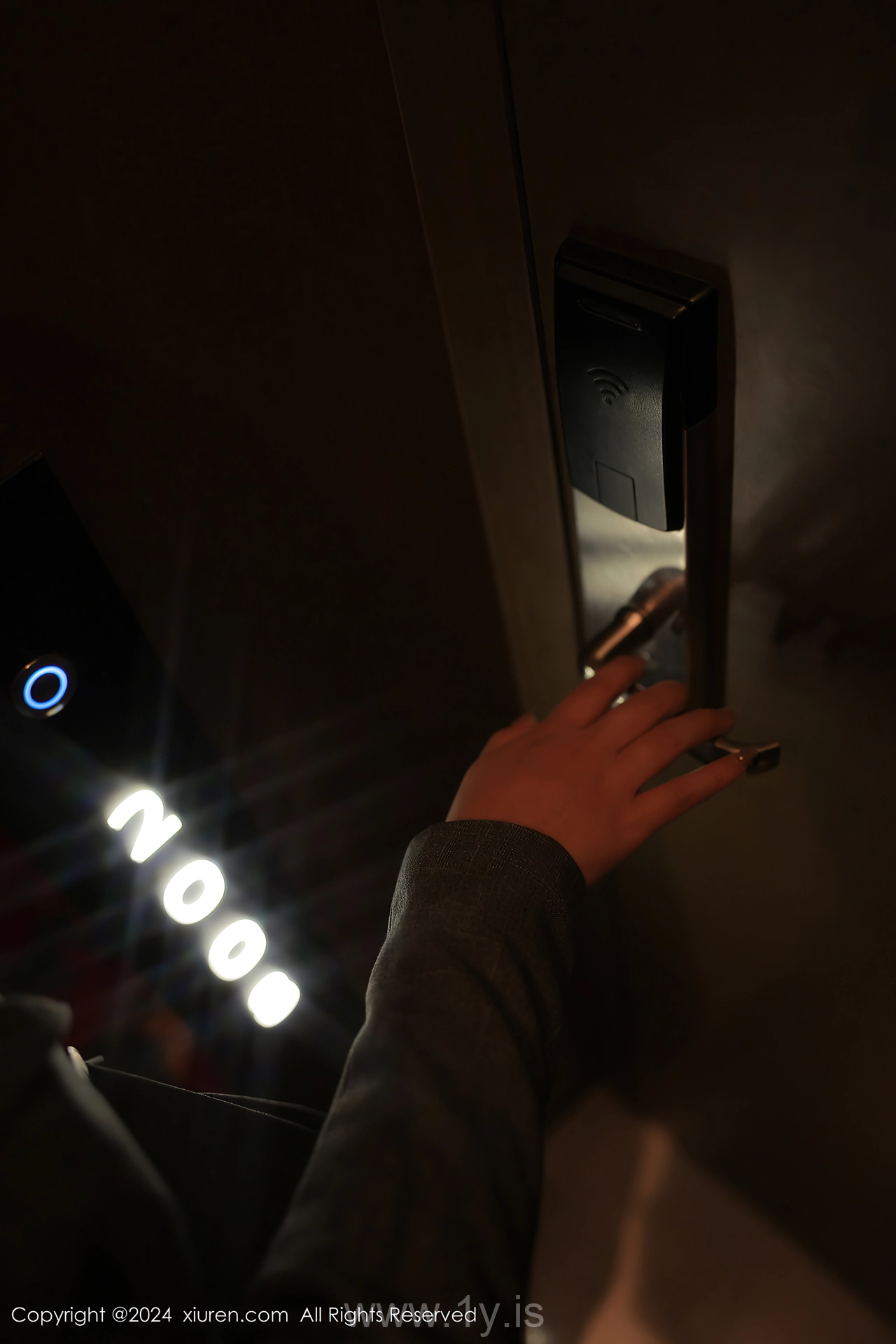 XIUREN(秀人网) No.8496 Gorgeous & Captivating Asian Enchantress 金小依