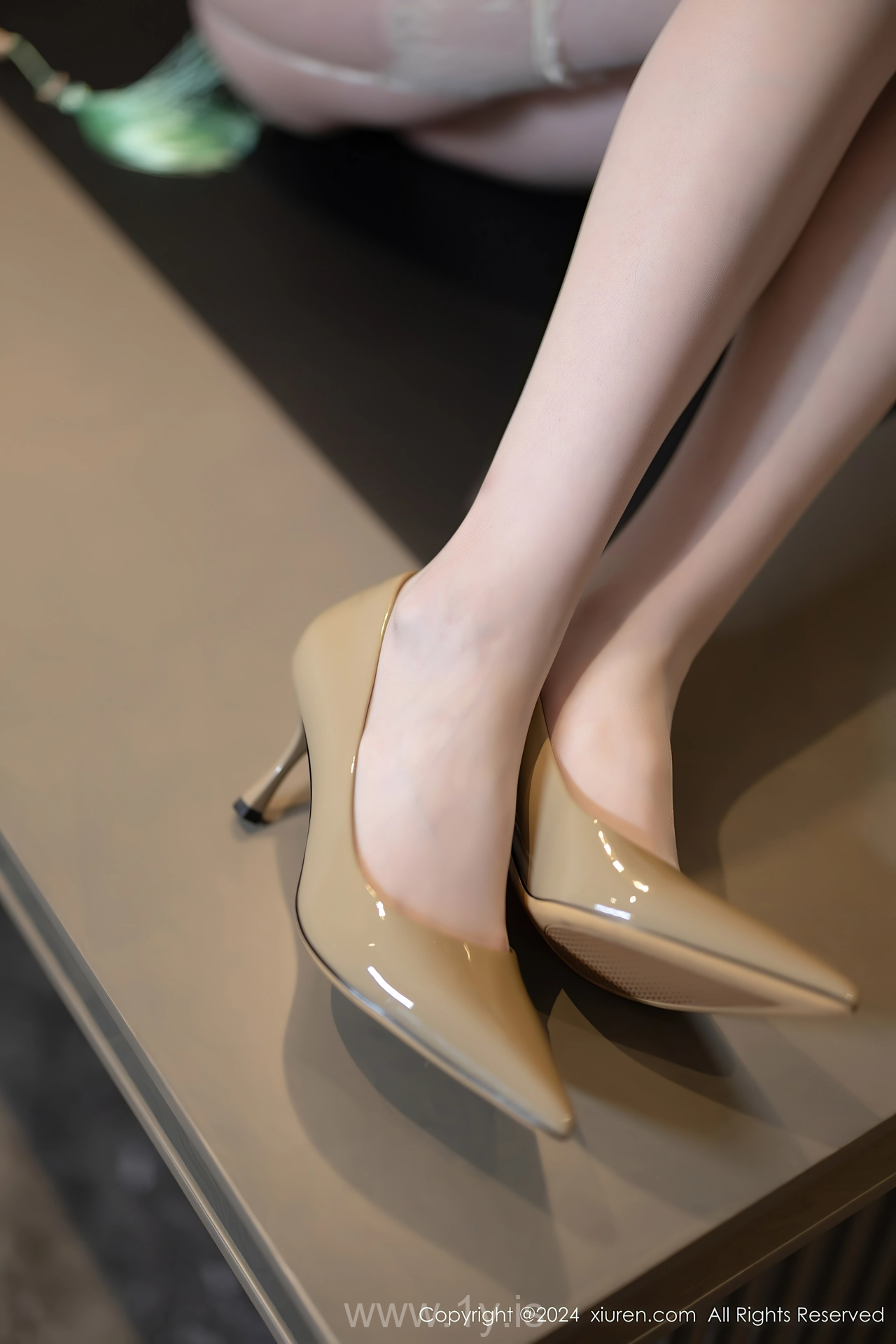 XIUREN(秀人网) No.8497 Attractive & Fancy Asian Peri 梦心玥