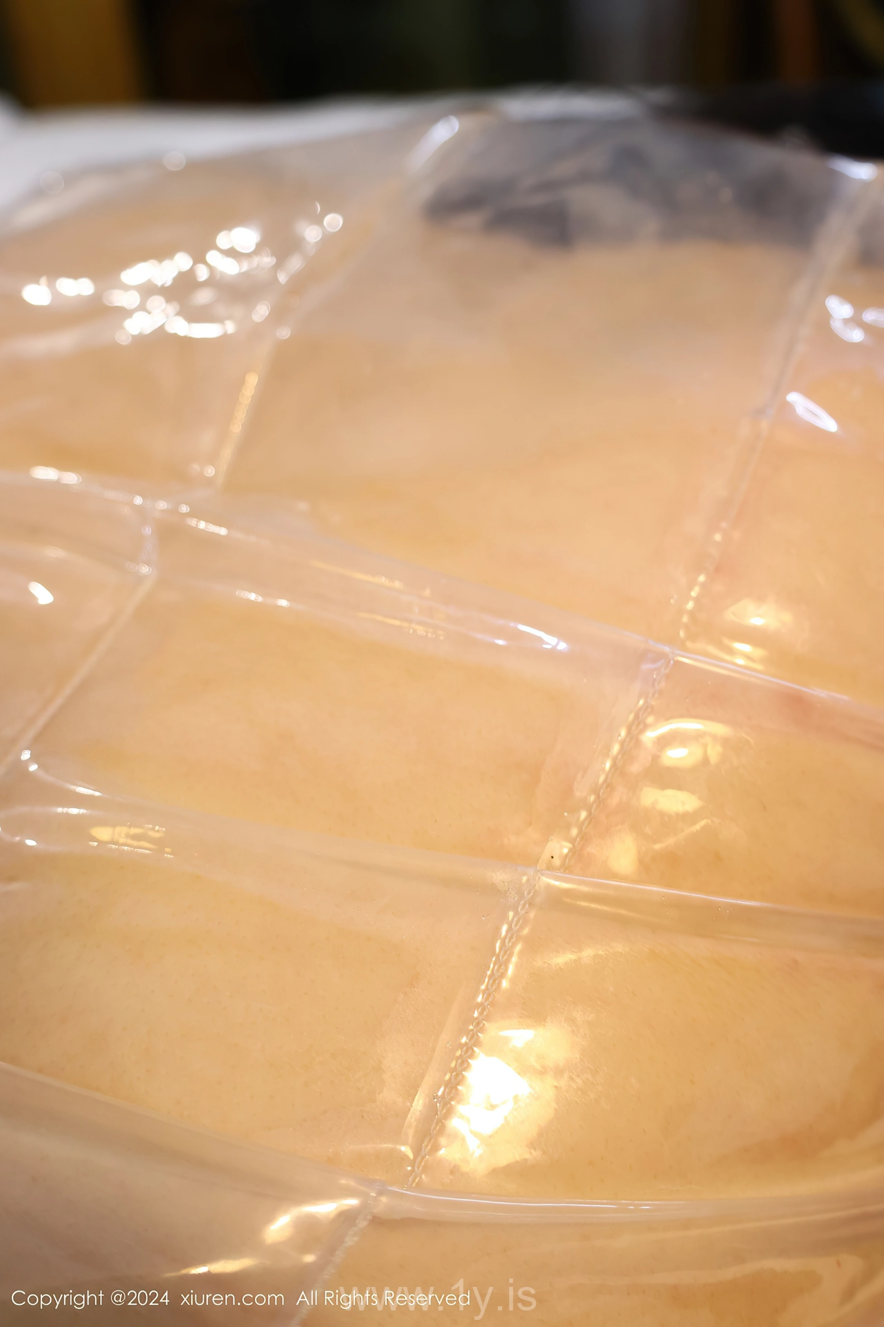 XIUREN(秀人网) No.8517 Charming & Decent Asian Queen 小薯条nienie