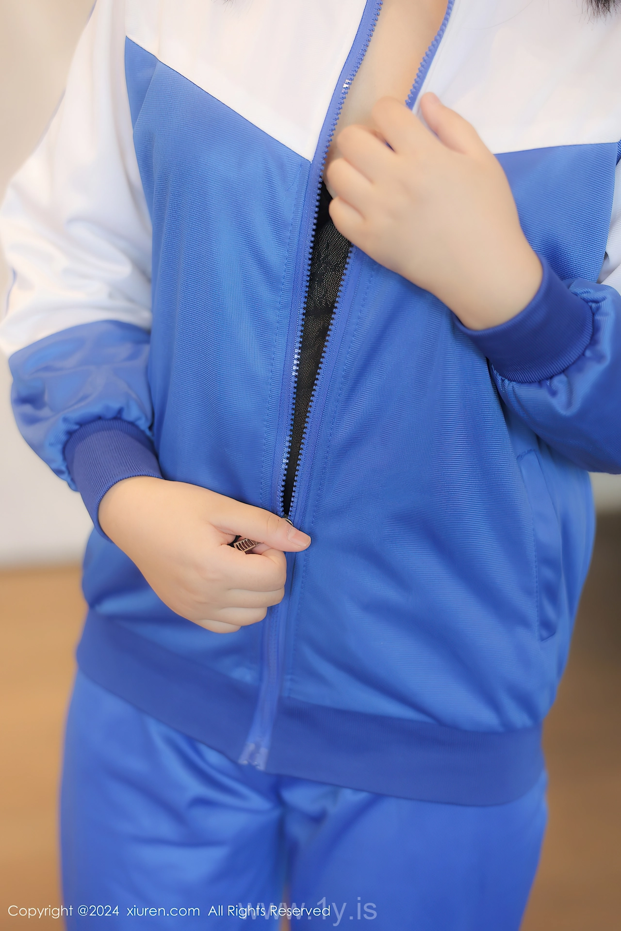 XIUREN(秀人网) No.8648 Dazzling Asian Enchantress 徐若兮