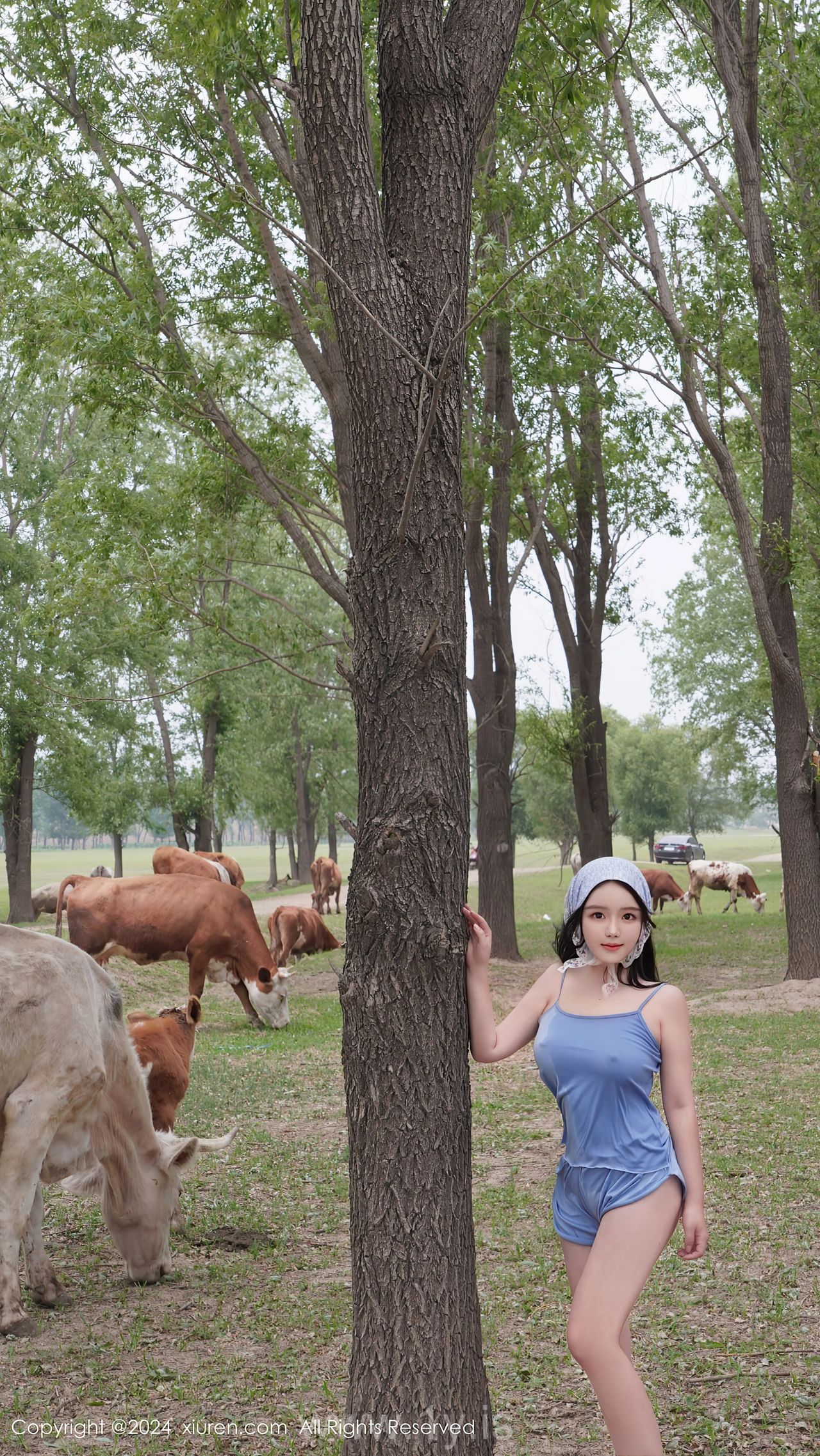 XIUREN(秀人网) No.8777 Radiant Asian Angel 小薯条nienie