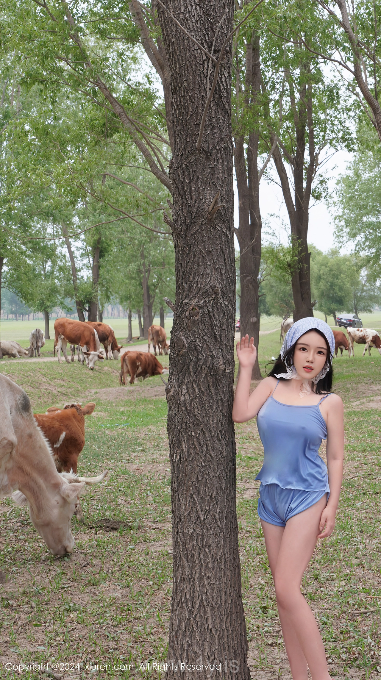 XIUREN(秀人网) No.8777 Radiant Asian Angel 小薯条nienie