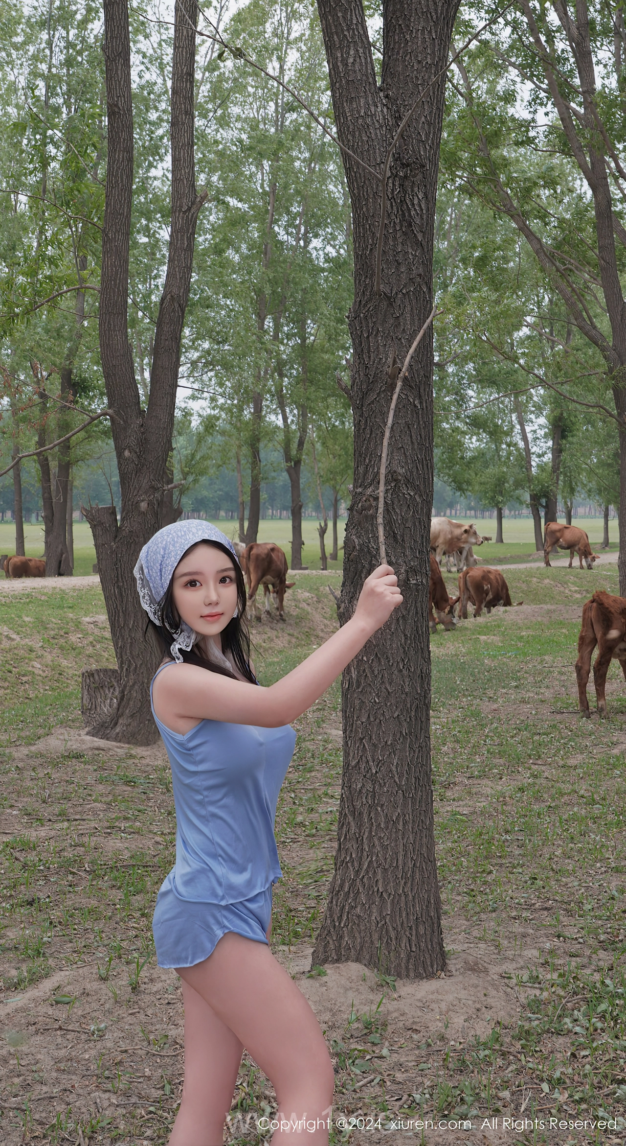 XIUREN(秀人网) No.8777 Radiant Asian Angel 小薯条nienie