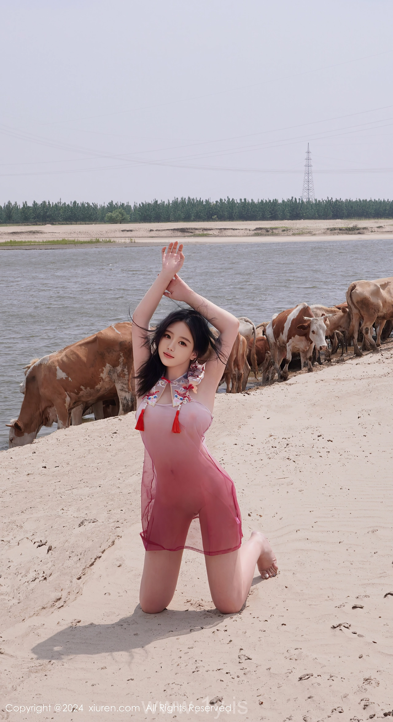 XIUREN(秀人网) No.8777 Radiant Asian Angel 小薯条nienie