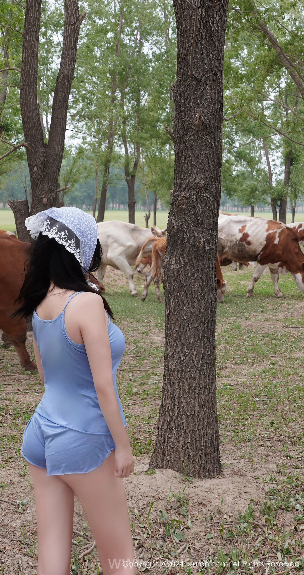 XIUREN(秀人网) No.8777 Radiant Asian Angel 小薯条nienie