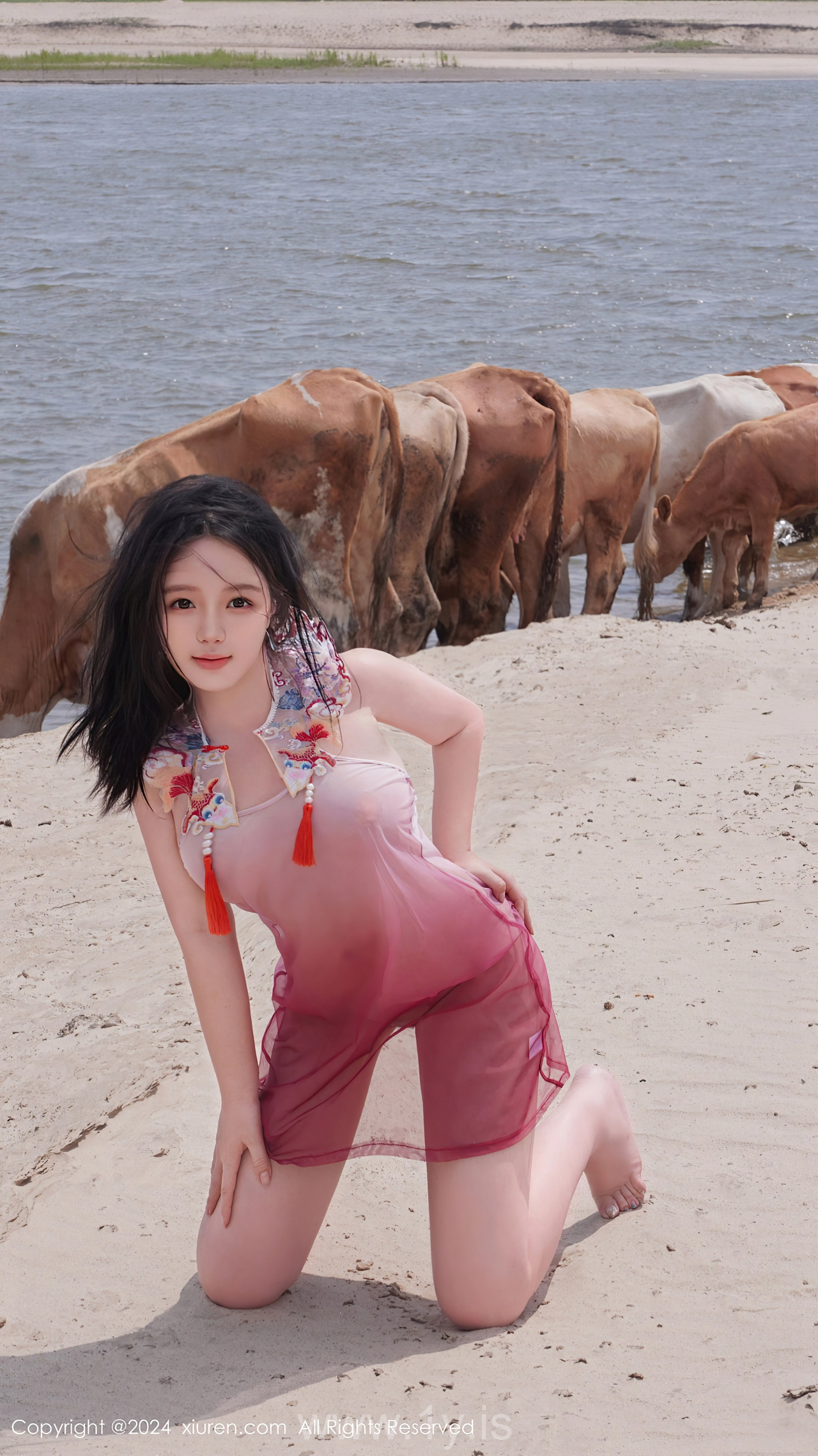 XIUREN(秀人网) No.8777 Radiant Asian Angel 小薯条nienie