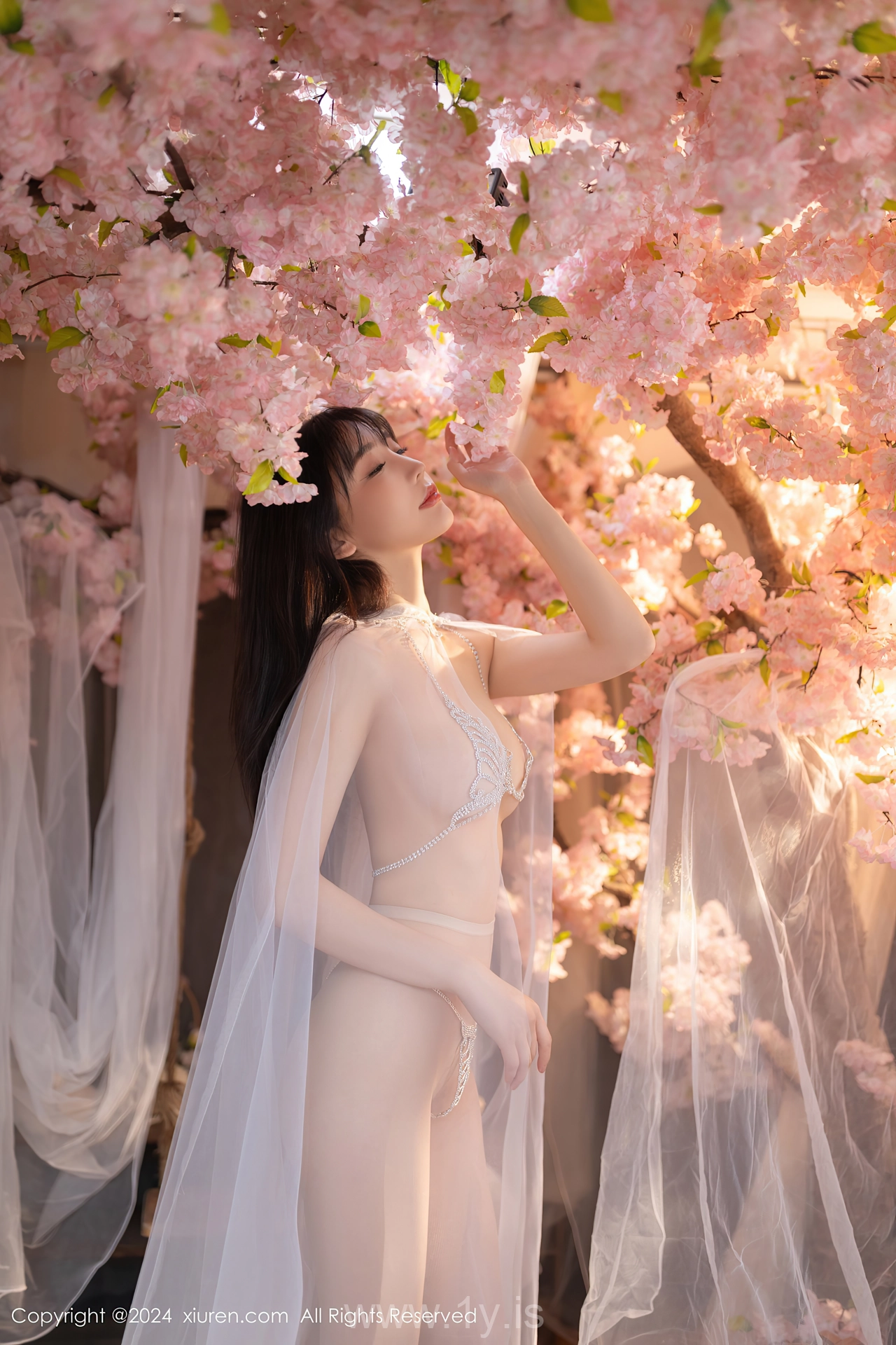 XIUREN(秀人网) No.8807 Slender Asian Dreamgirl 陆萱萱