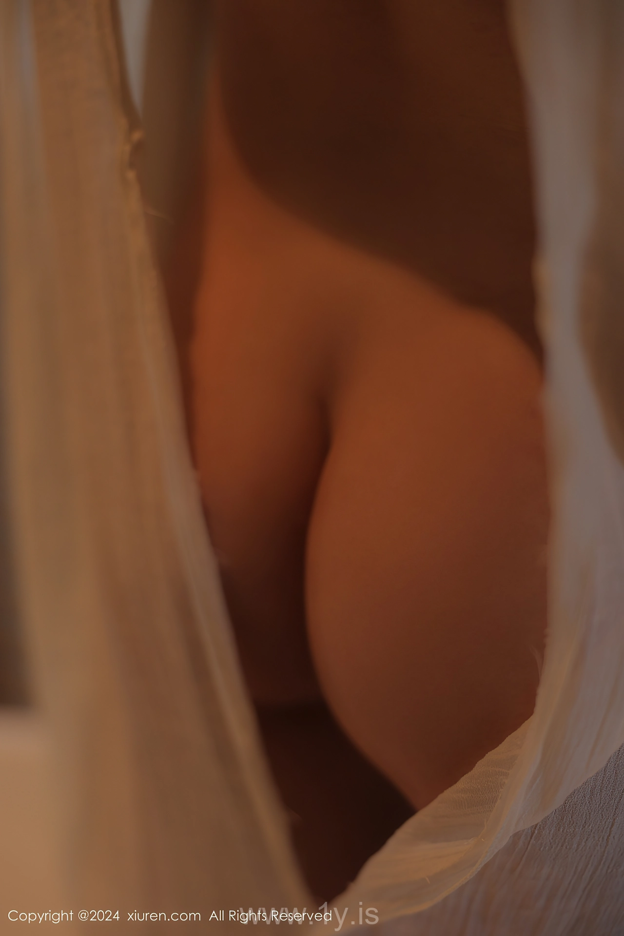 XIUREN(秀人网) No.8842 Well Done & Voluptuous Asian Rara Avis 夏竹