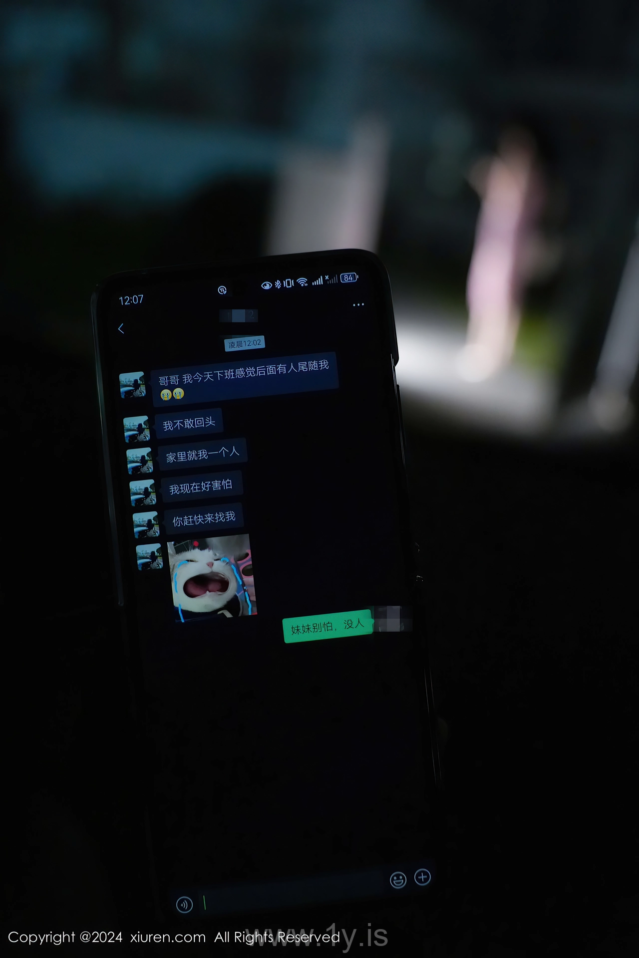 XIUREN(秀人网) No.8855 Decent Chinese Cutie Erikaki