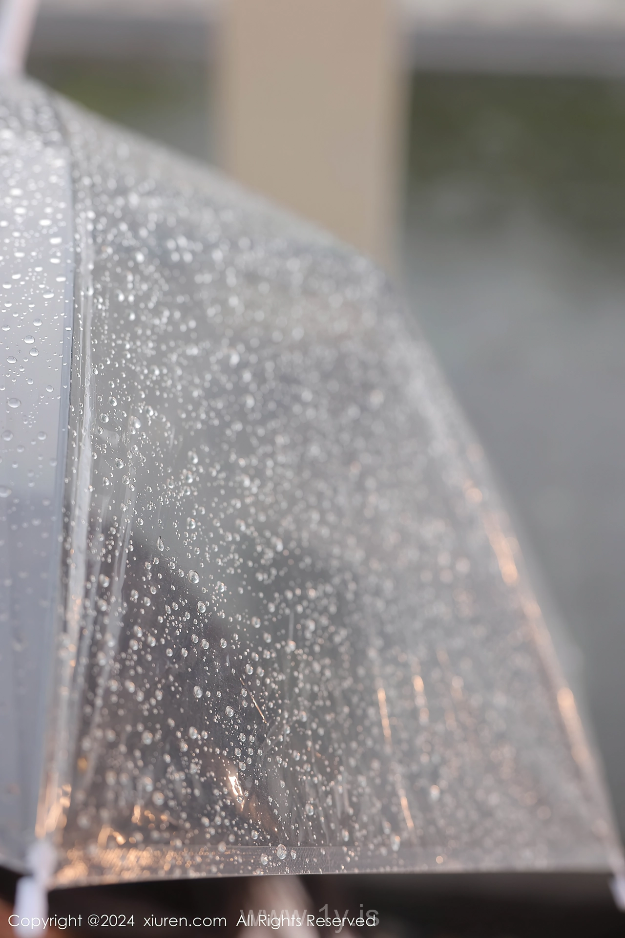 XIUREN(秀人网) No.8885 Hot & Fair Asian Beauty 桃妖夭