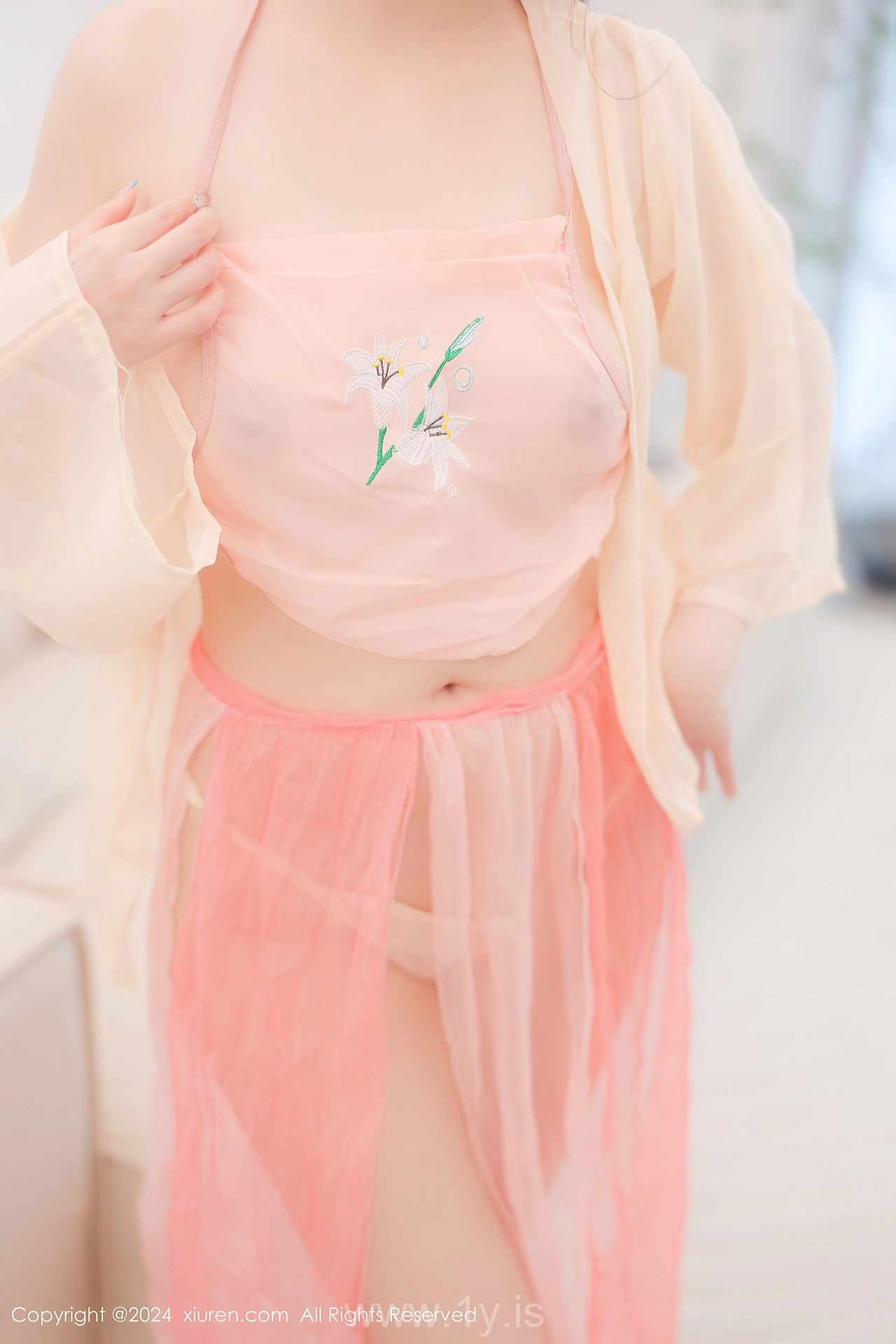 XIUREN(秀人网) No.8906 Cute Asian Hottie 软软酱