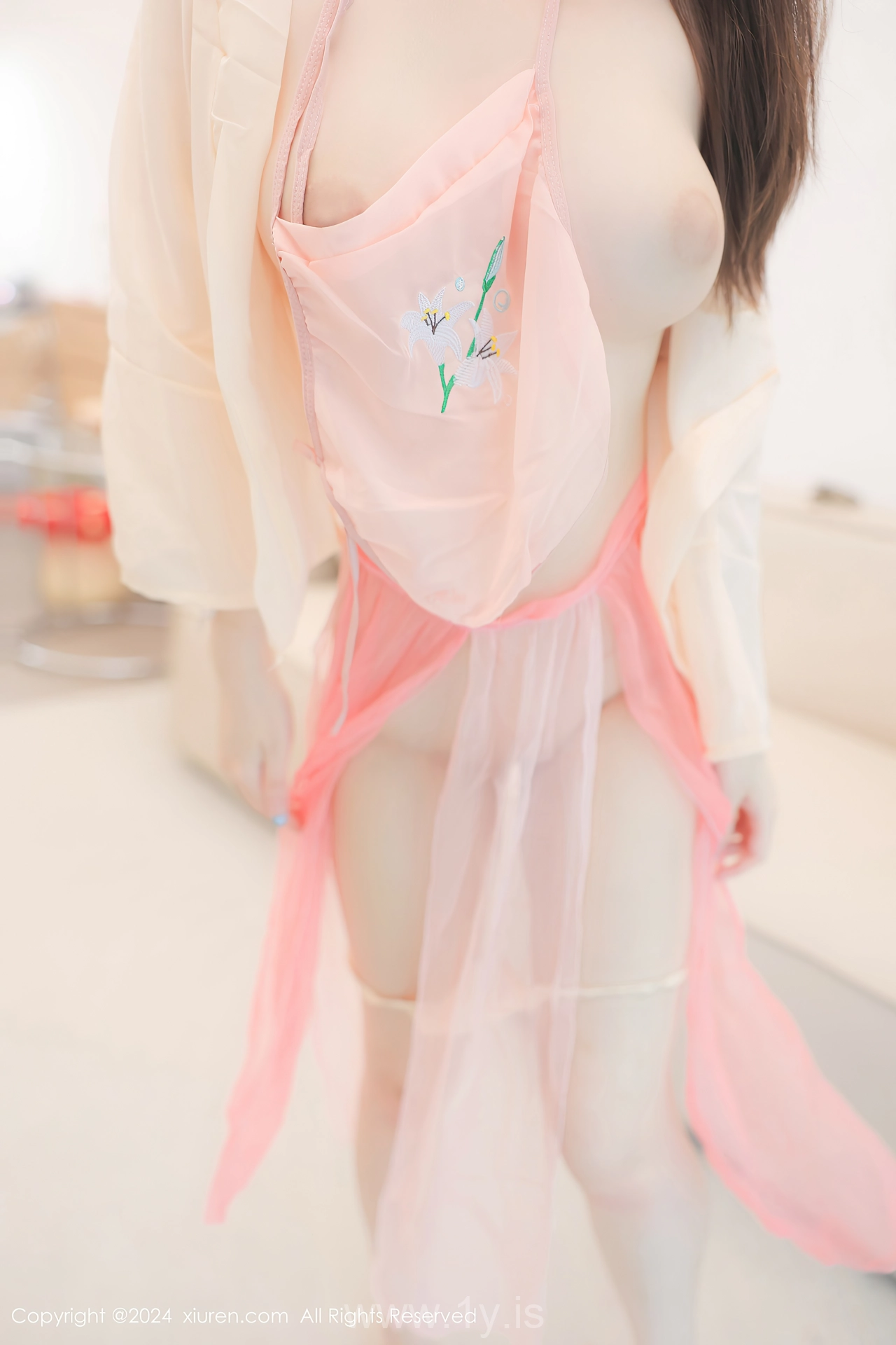 XIUREN(秀人网) No.8906 Cute Asian Hottie 软软酱