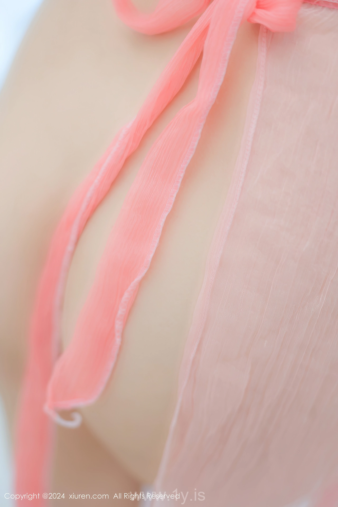 XIUREN(秀人网) No.8906 Cute Asian Hottie 软软酱