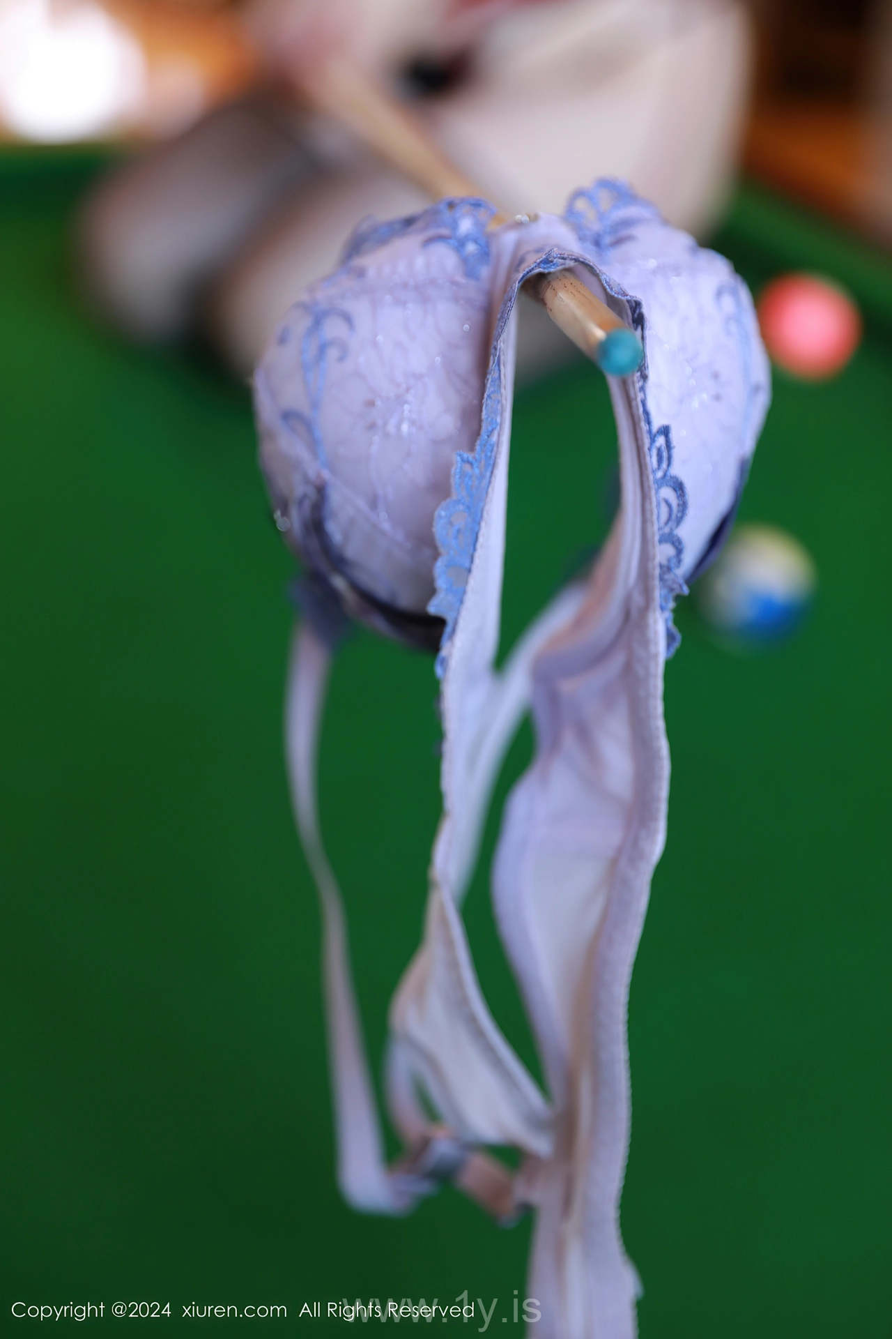 XIUREN(秀人网) No.8946 Shimmering & Flawless Asian Temptress 白茹雪abby