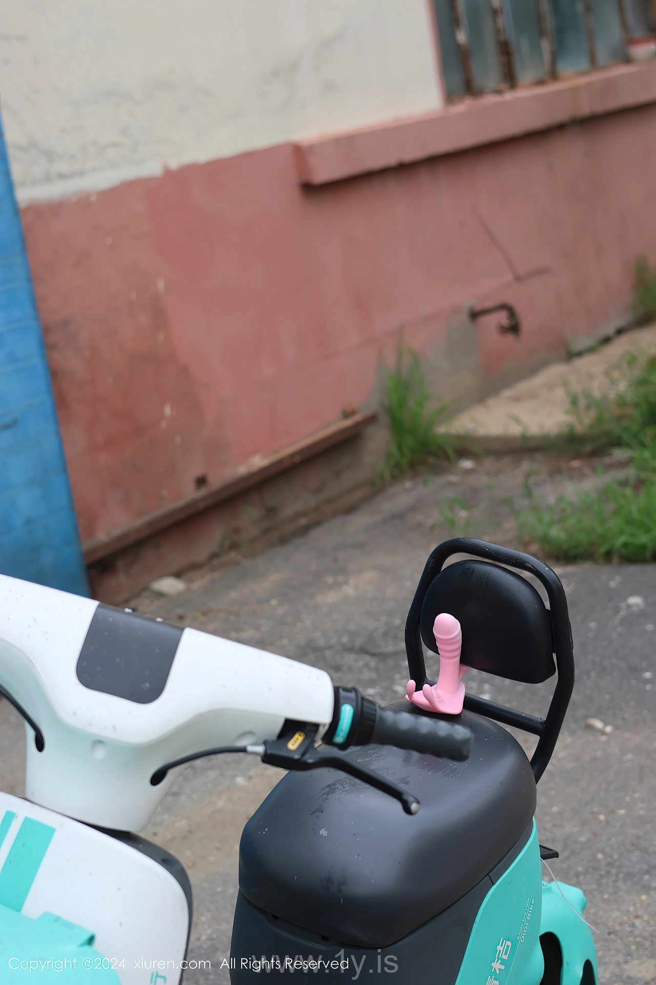 XIUREN(秀人网) No.9024 Refined Chinese Cougar 小薯条nienie