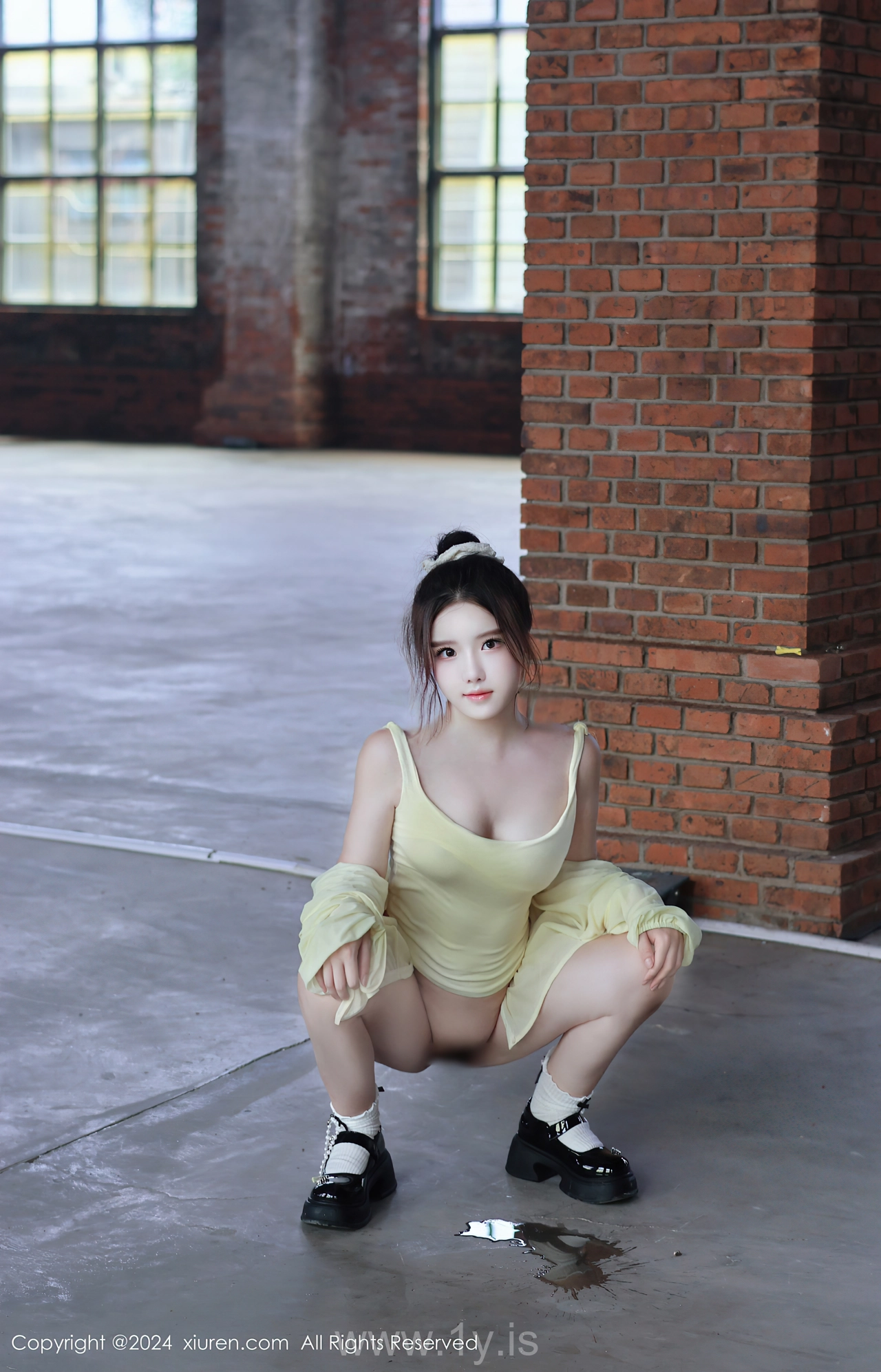 XIUREN(秀人网) No.9024 Refined Chinese Cougar 小薯条nienie