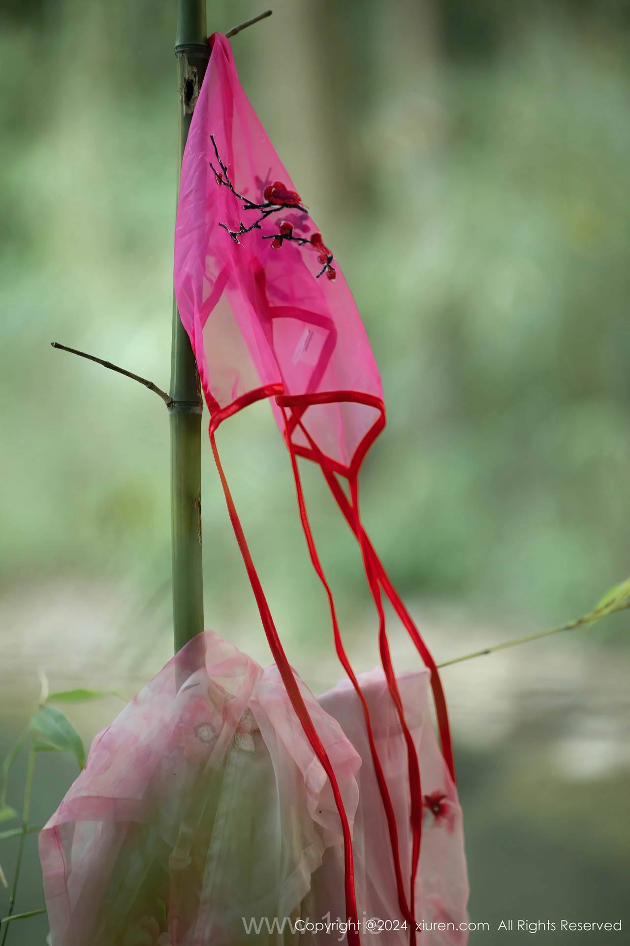 XIUREN(秀人网) No.9100 Extraordinary & Shimmering Asian Homebody Girl 诗诗kiki