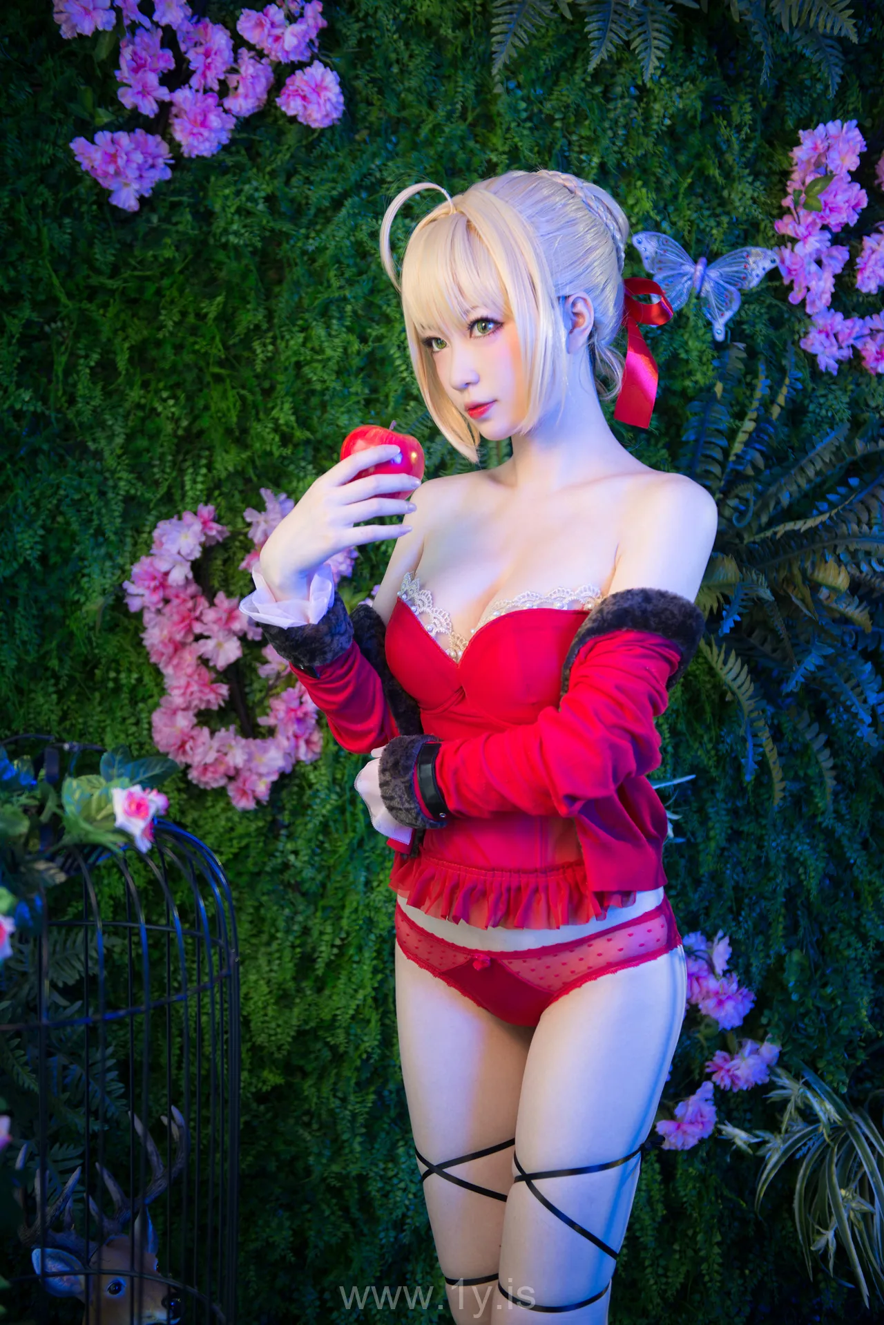 妖少you1 尼禄不夜蔷薇